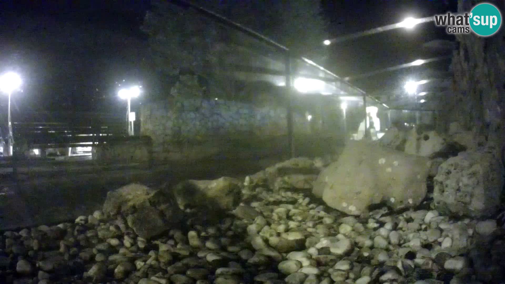 Vanjski morski akvarij Rogoznica web kamera Hrvatska