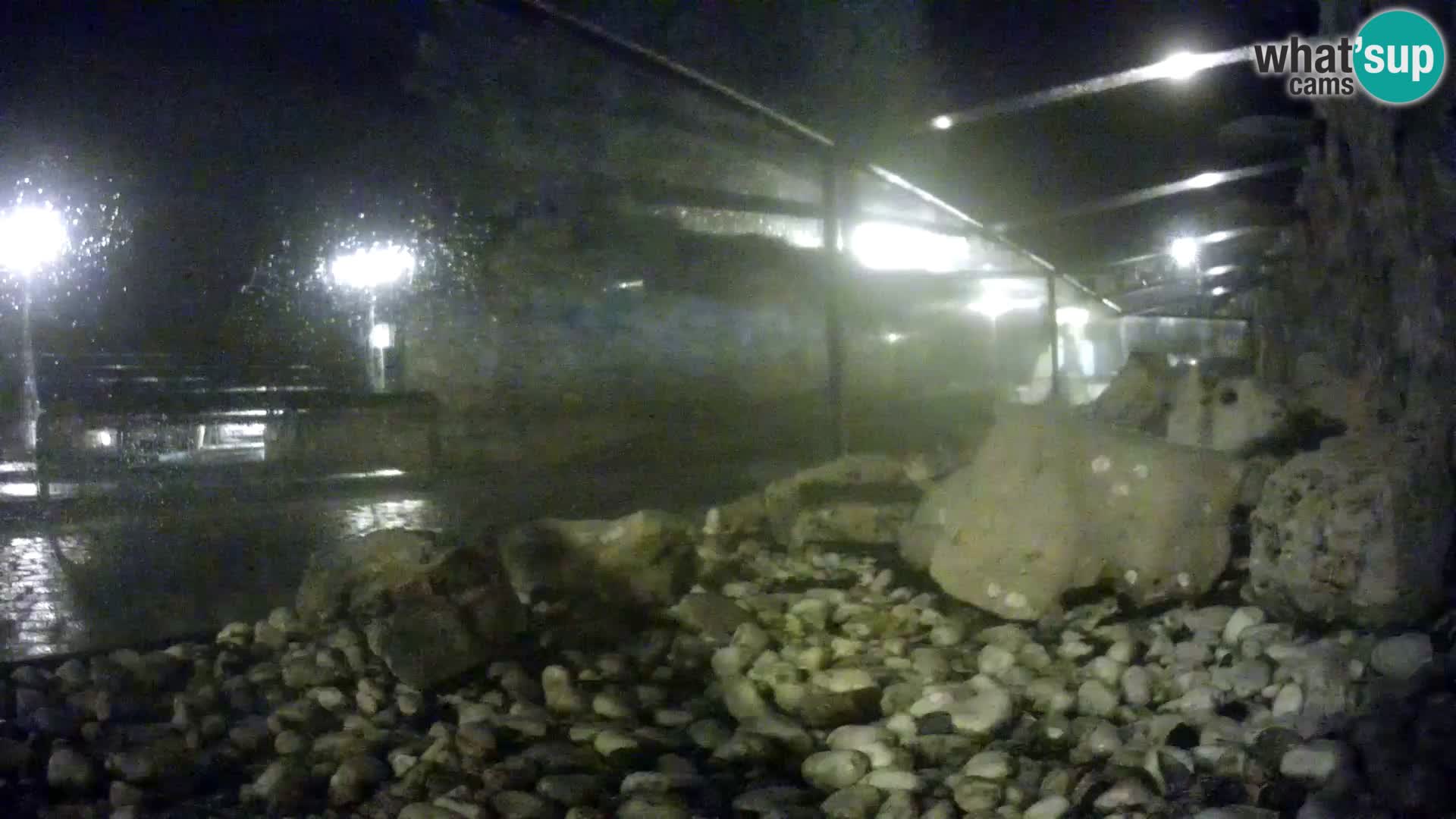 Acuario marino al aire libre Rogoznica webcam Croacia