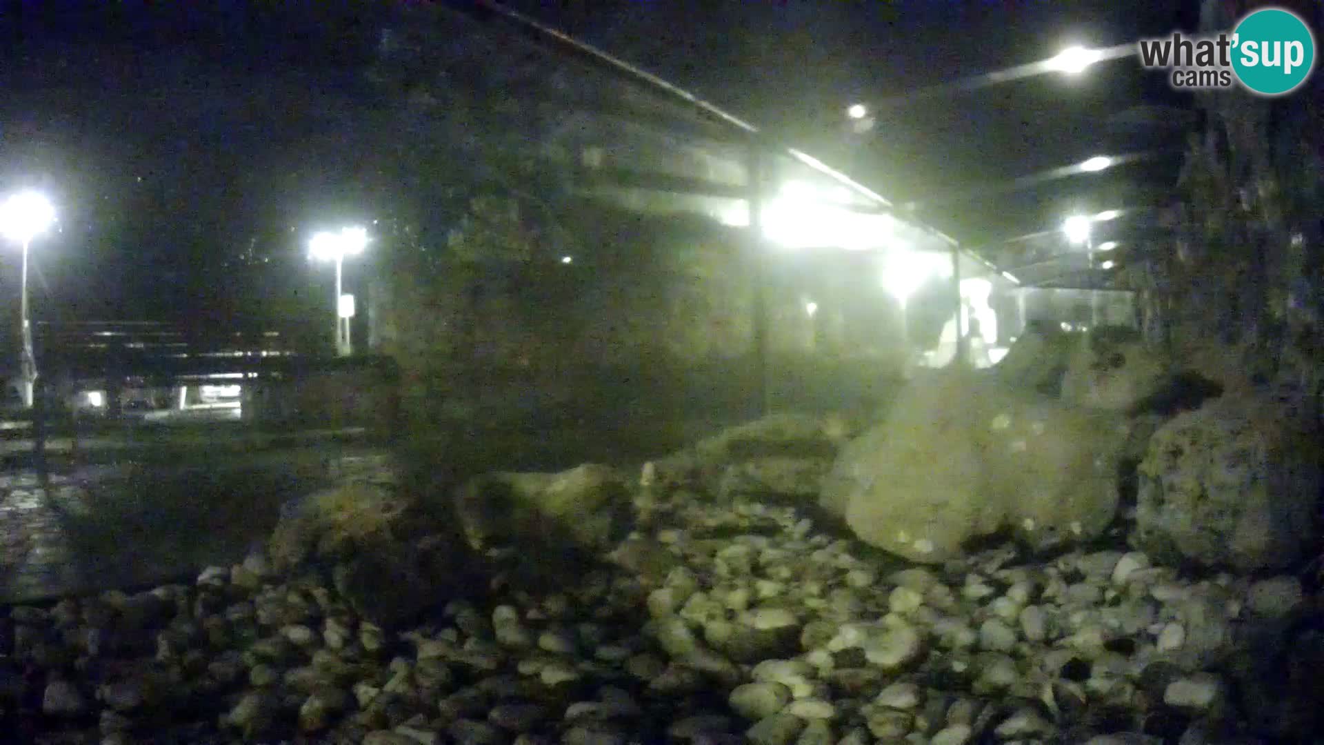 Aquario marino esterno –  Rogoznica livecam Croazia