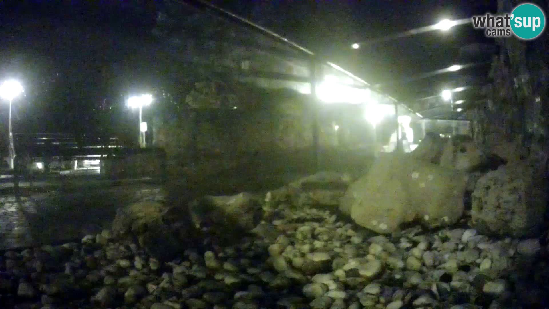 Acuario marino al aire libre Rogoznica webcam Croacia