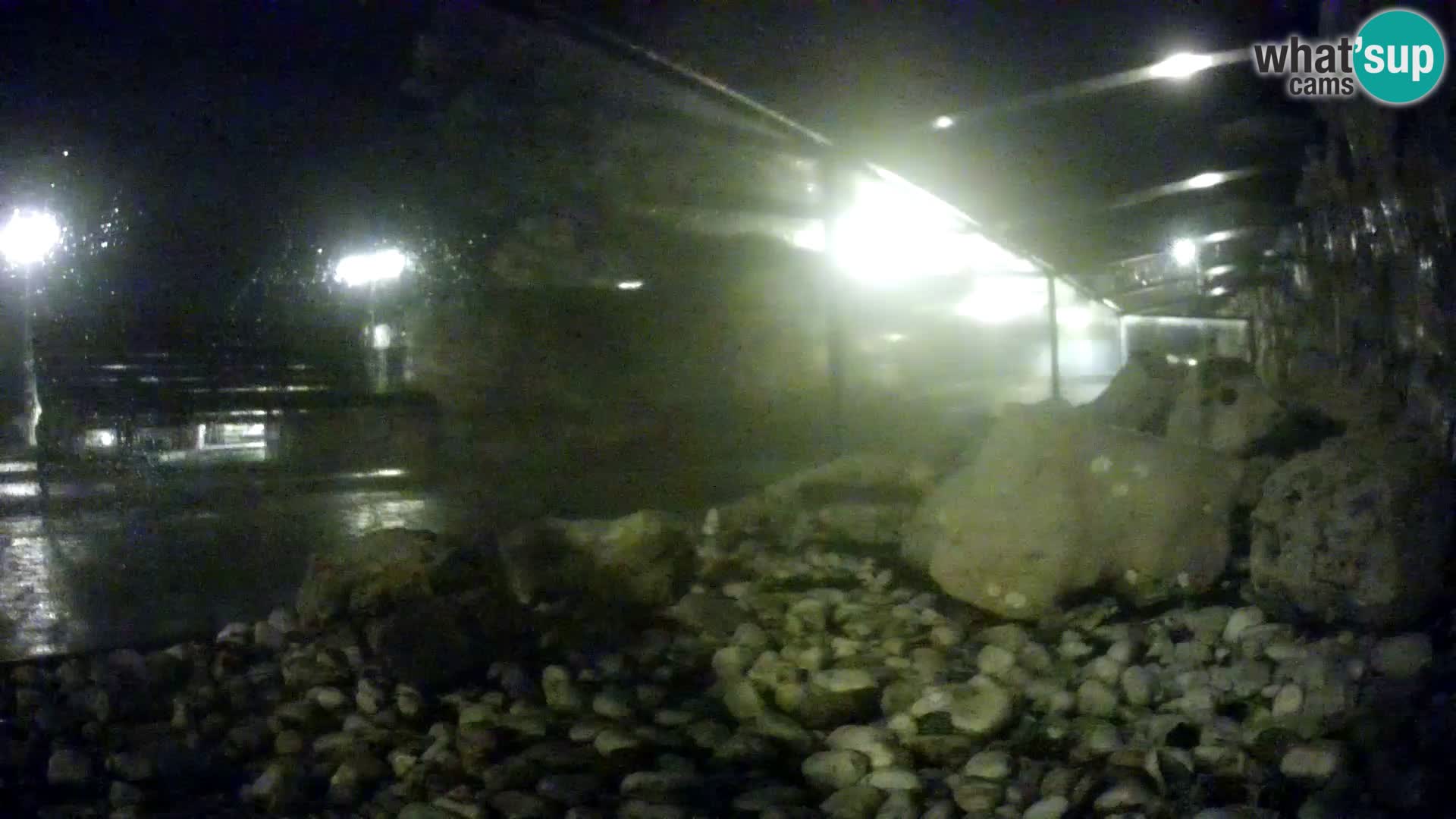 Outdoor Marine Aquarium Rogoznica webcam Croatia