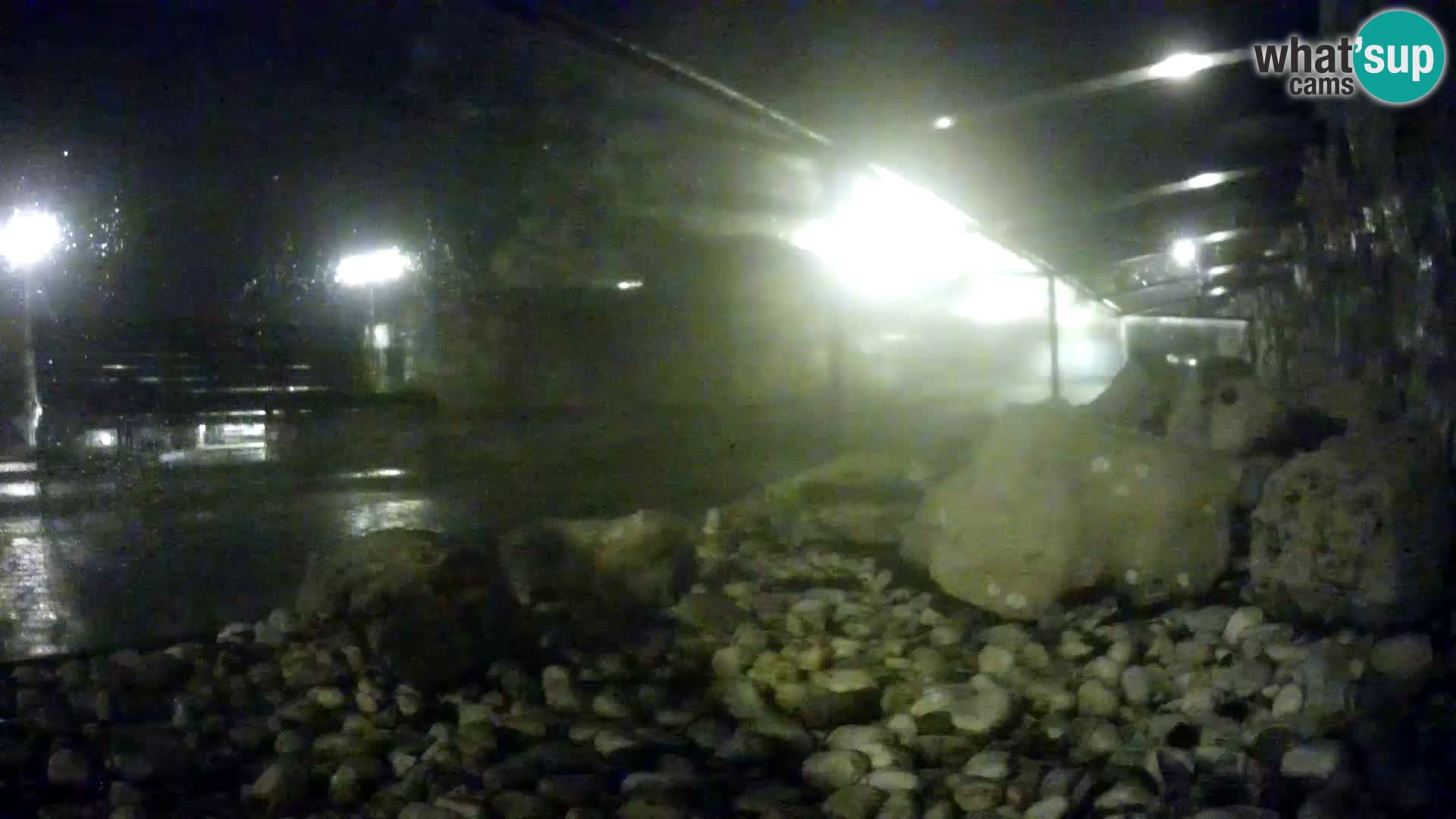 Webcam de l’aquarium marin extérieur de Rogoznica Croatie