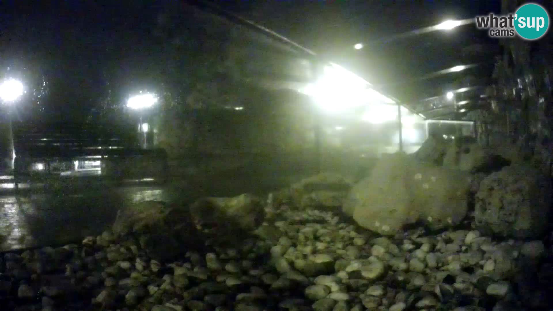 Acuario marino al aire libre Rogoznica webcam Croacia