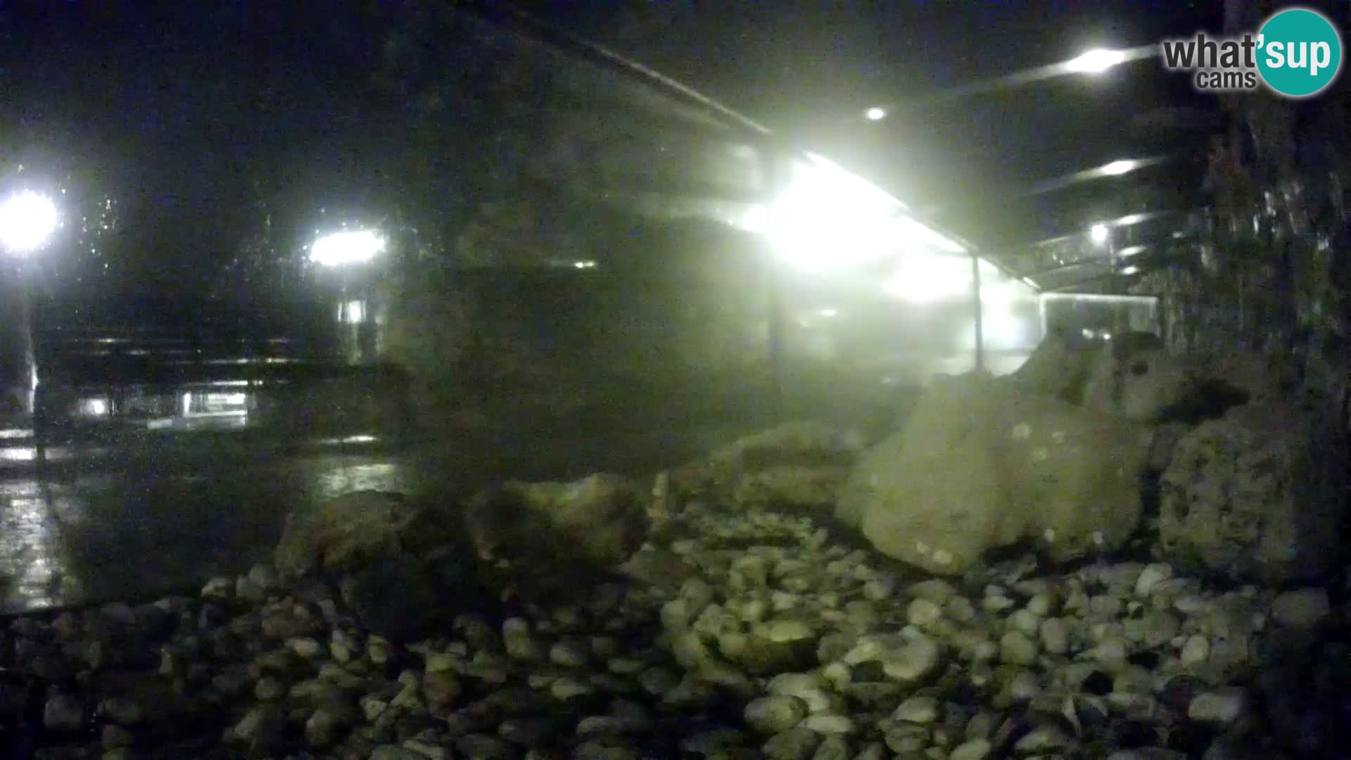 Outdoor Marine Aquarium Rogoznica webcam Croatia