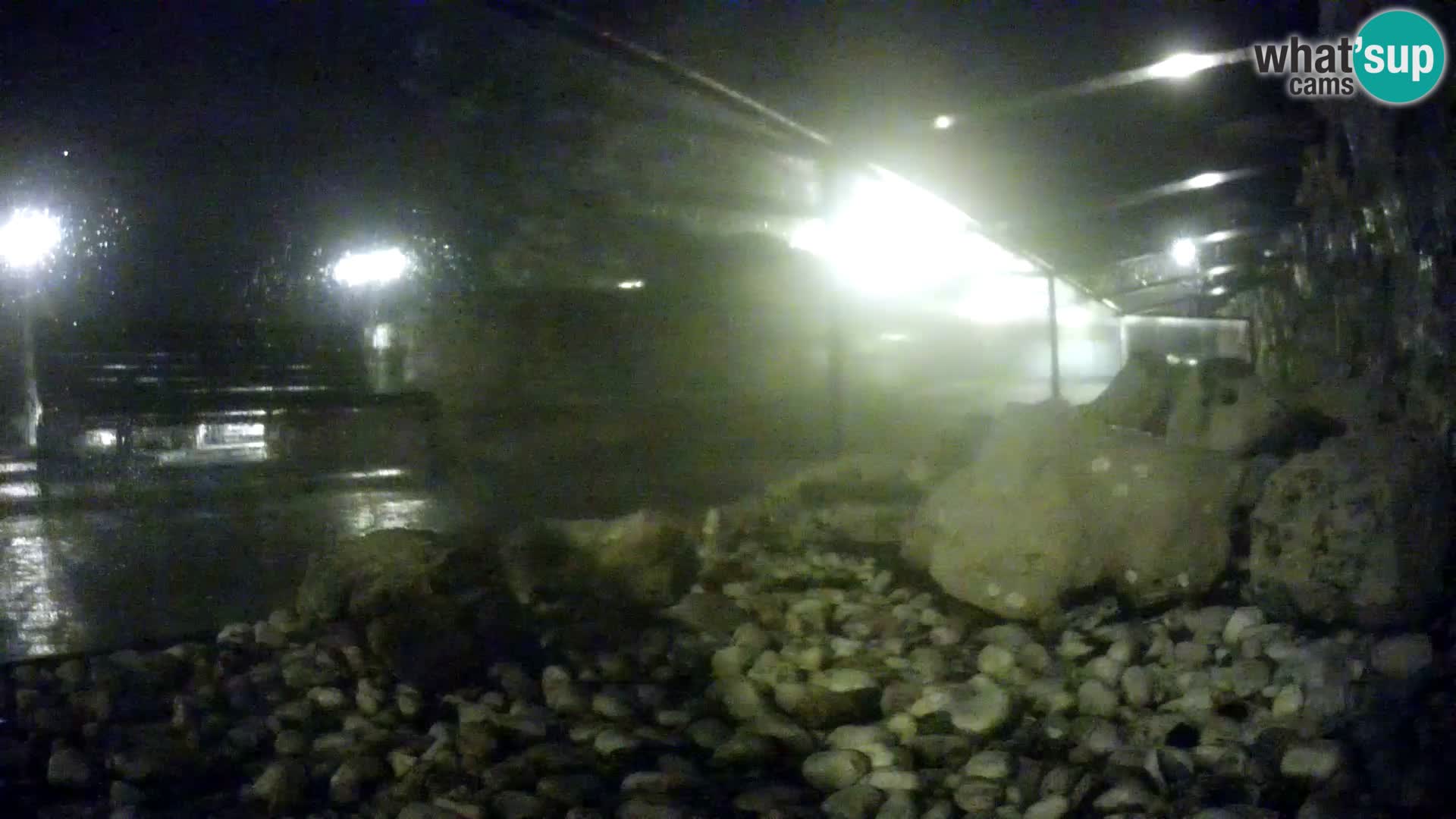 Vanjski morski akvarij Rogoznica web kamera Hrvatska