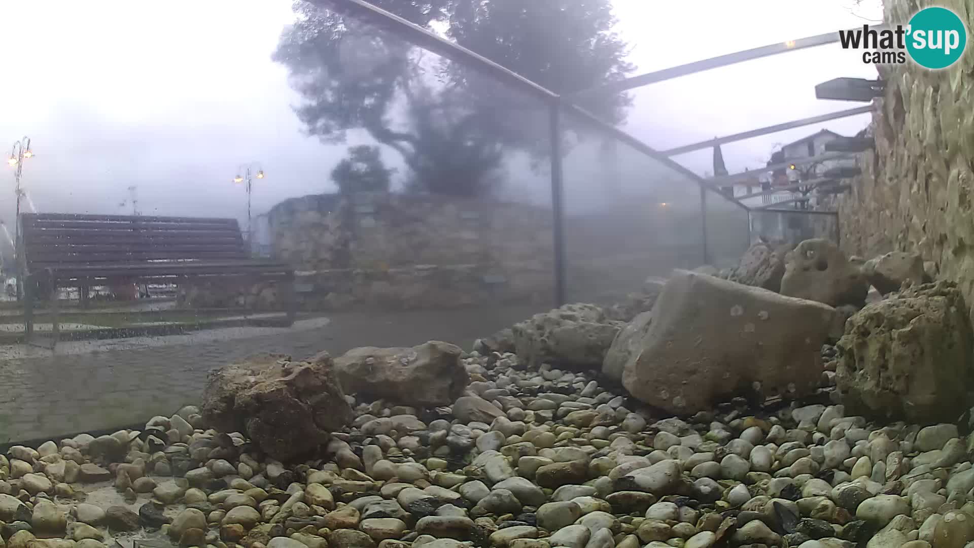 Zunanji morski akvarij Rogoznica spletna kamera Hrvaška