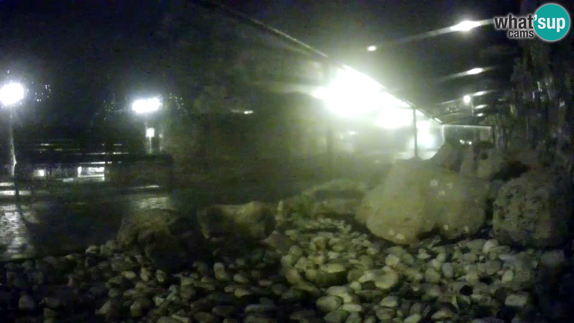 Aquario marino esterno –  Rogoznica livecam Croazia