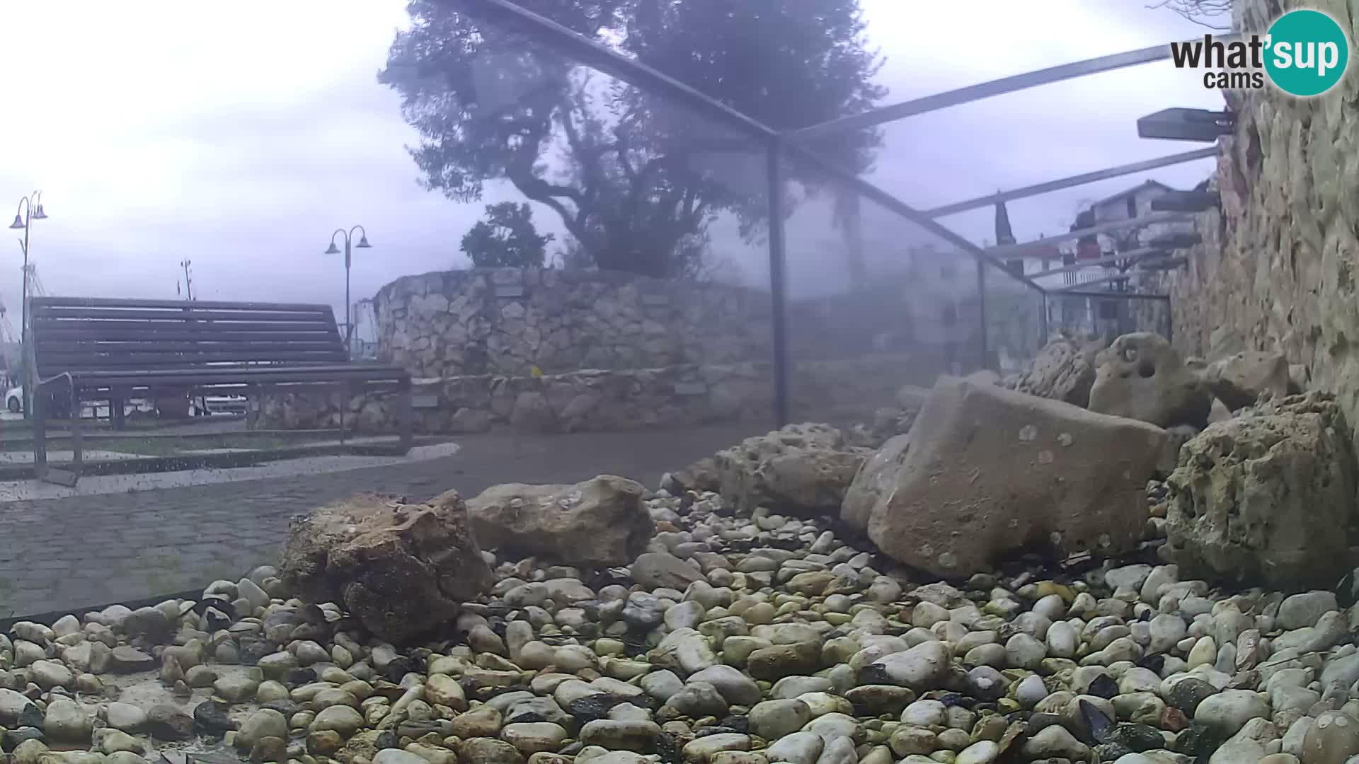 Webcam de l’aquarium marin extérieur de Rogoznica Croatie