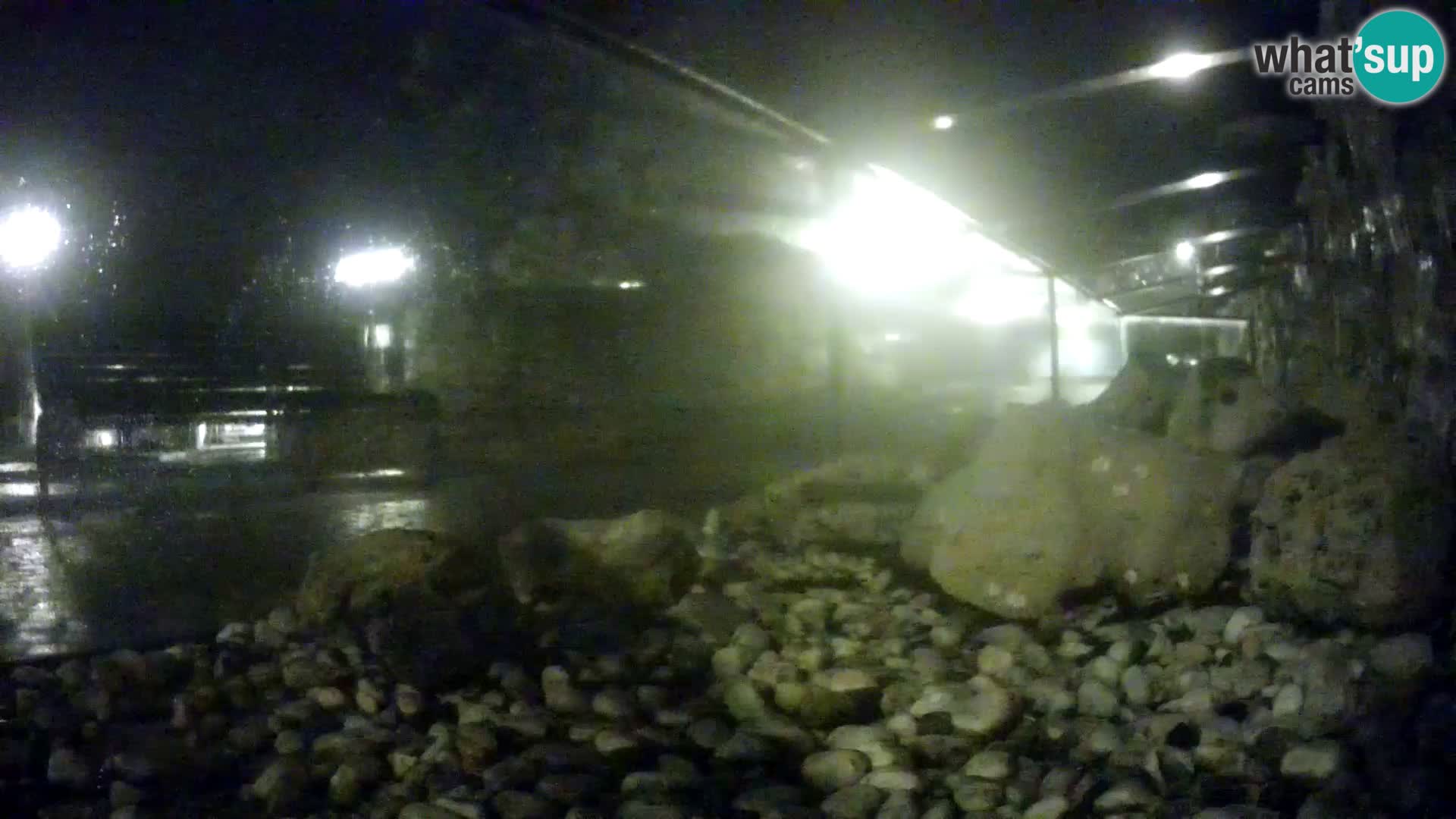 Zunanji morski akvarij Rogoznica spletna kamera Hrvaška