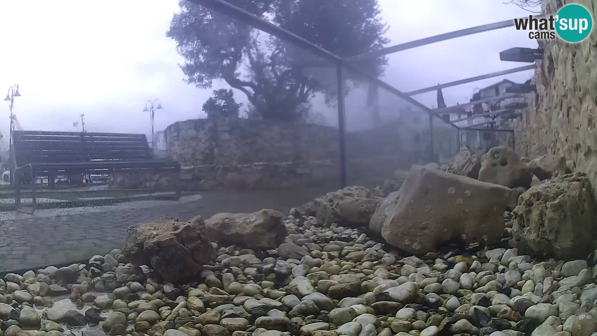 Aquario marino esterno –  Rogoznica livecam Croazia