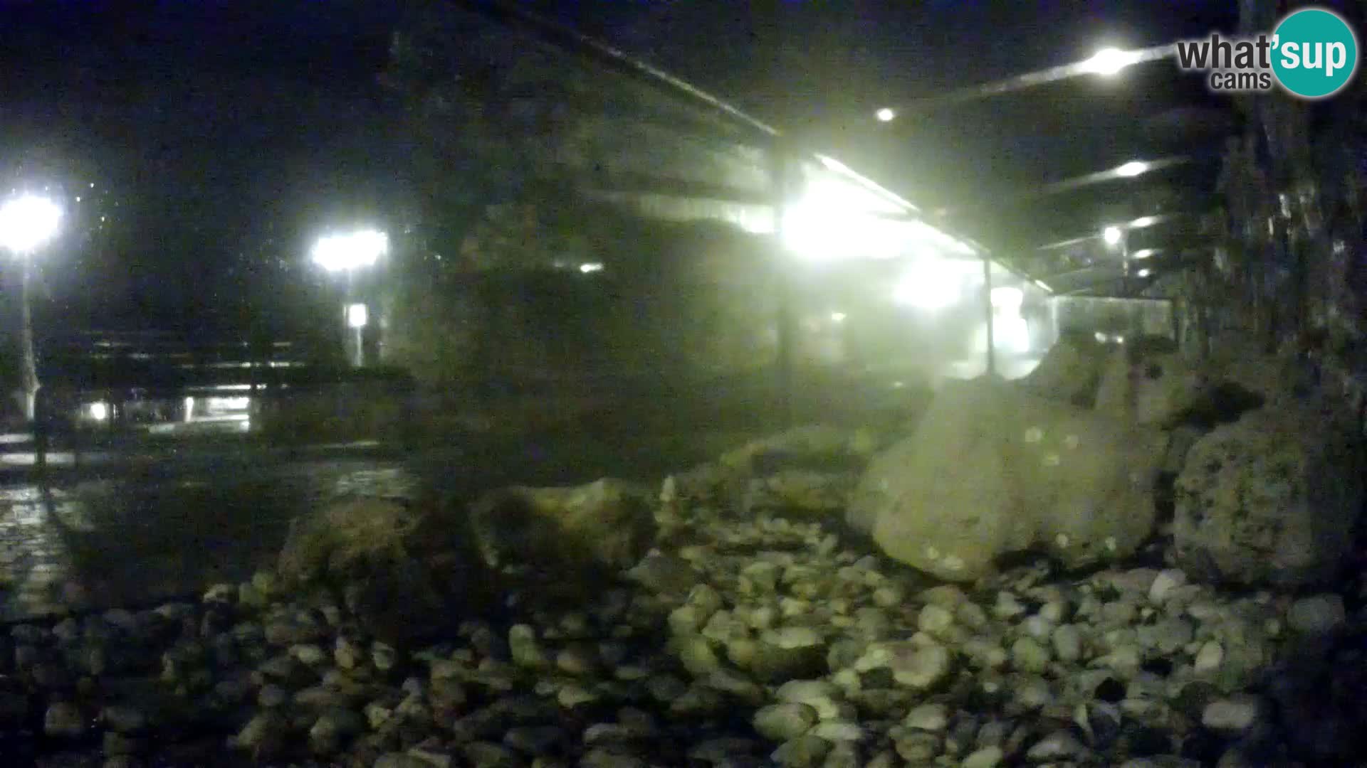 Outdoor Marine Aquarium Rogoznica webcam Croatia