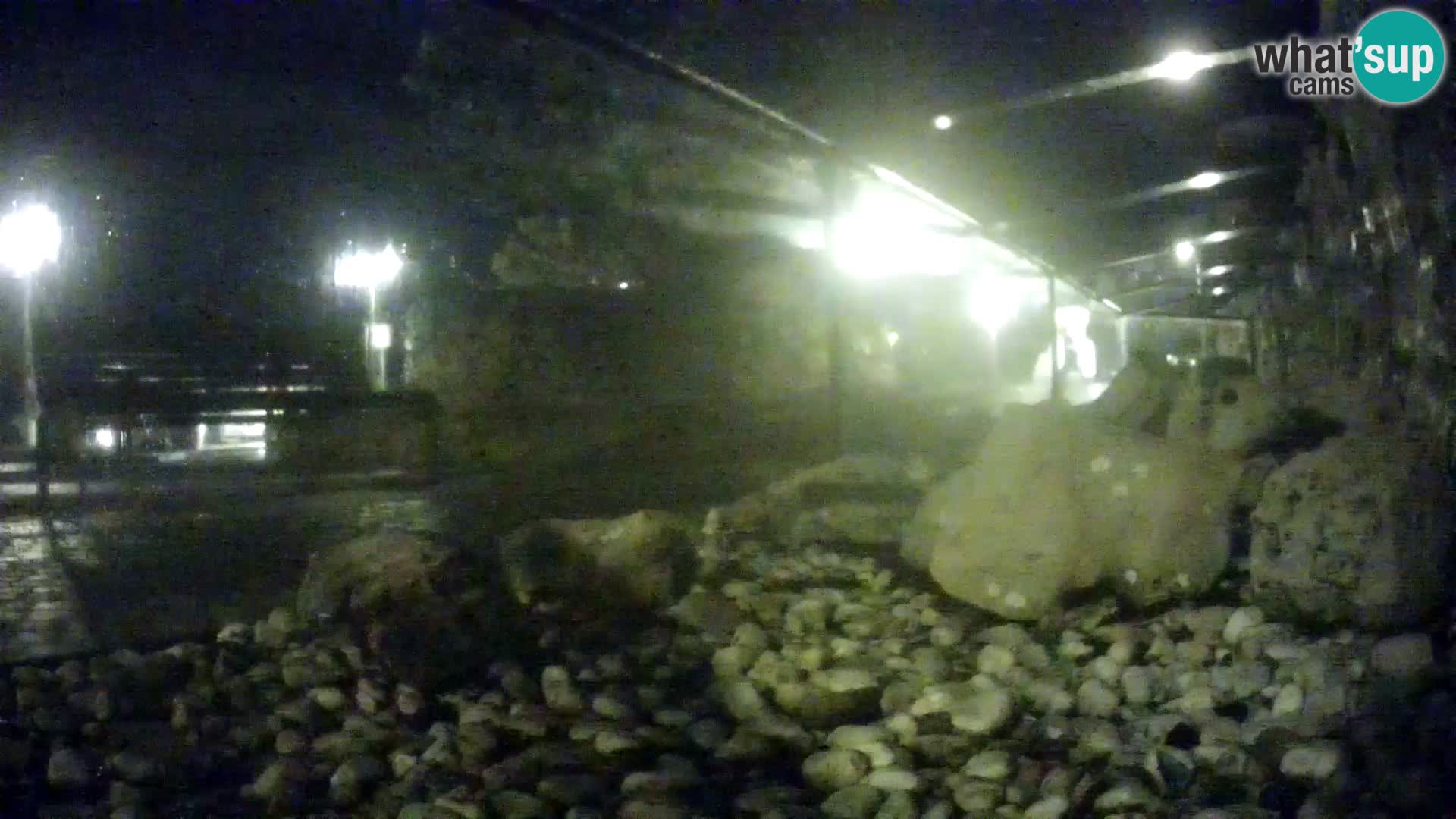 Outdoor Marine Aquarium Rogoznica webcam Croatia