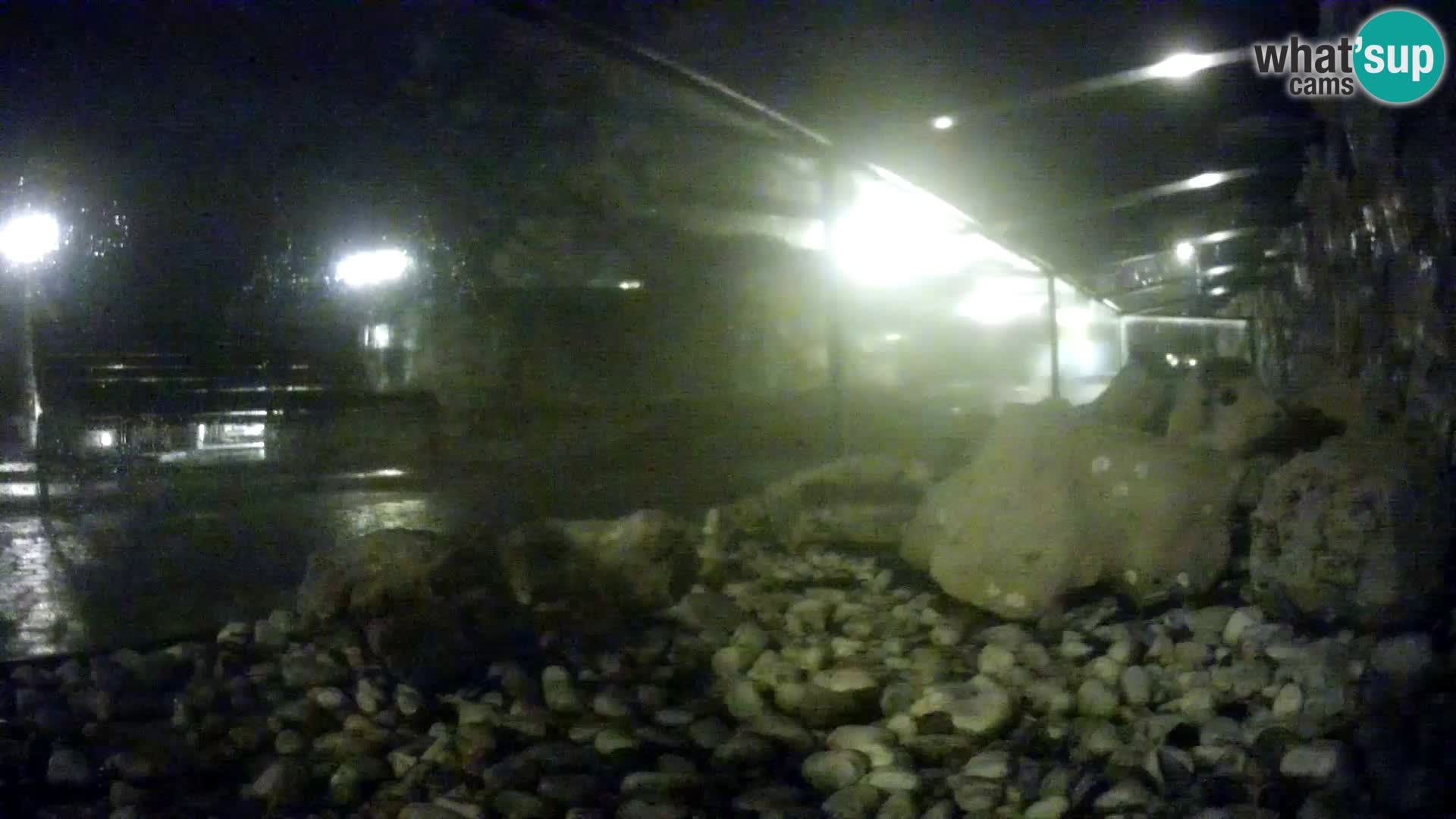 Aquario marino esterno –  Rogoznica livecam Croazia