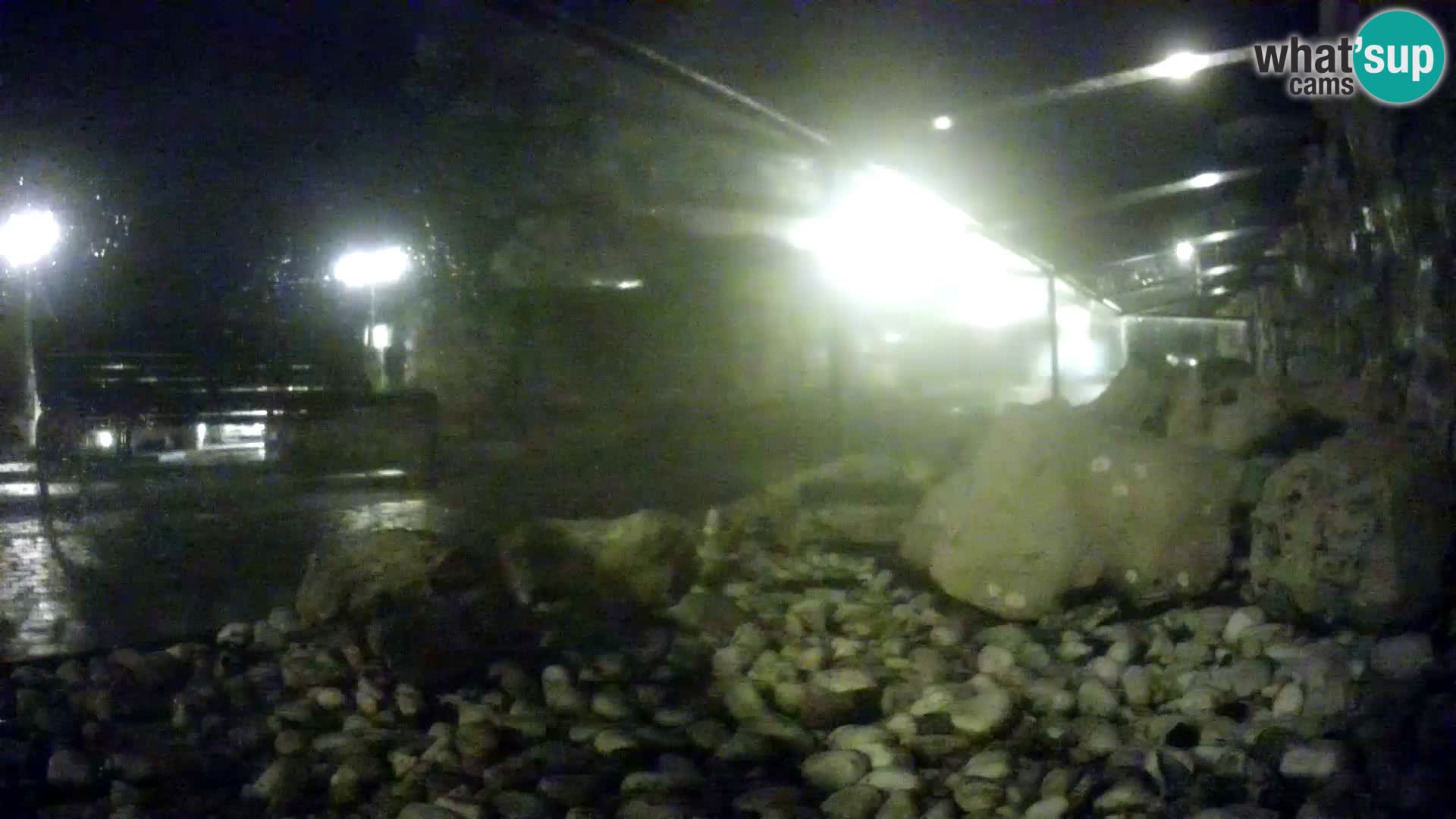 Aquario marino esterno –  Rogoznica livecam Croazia