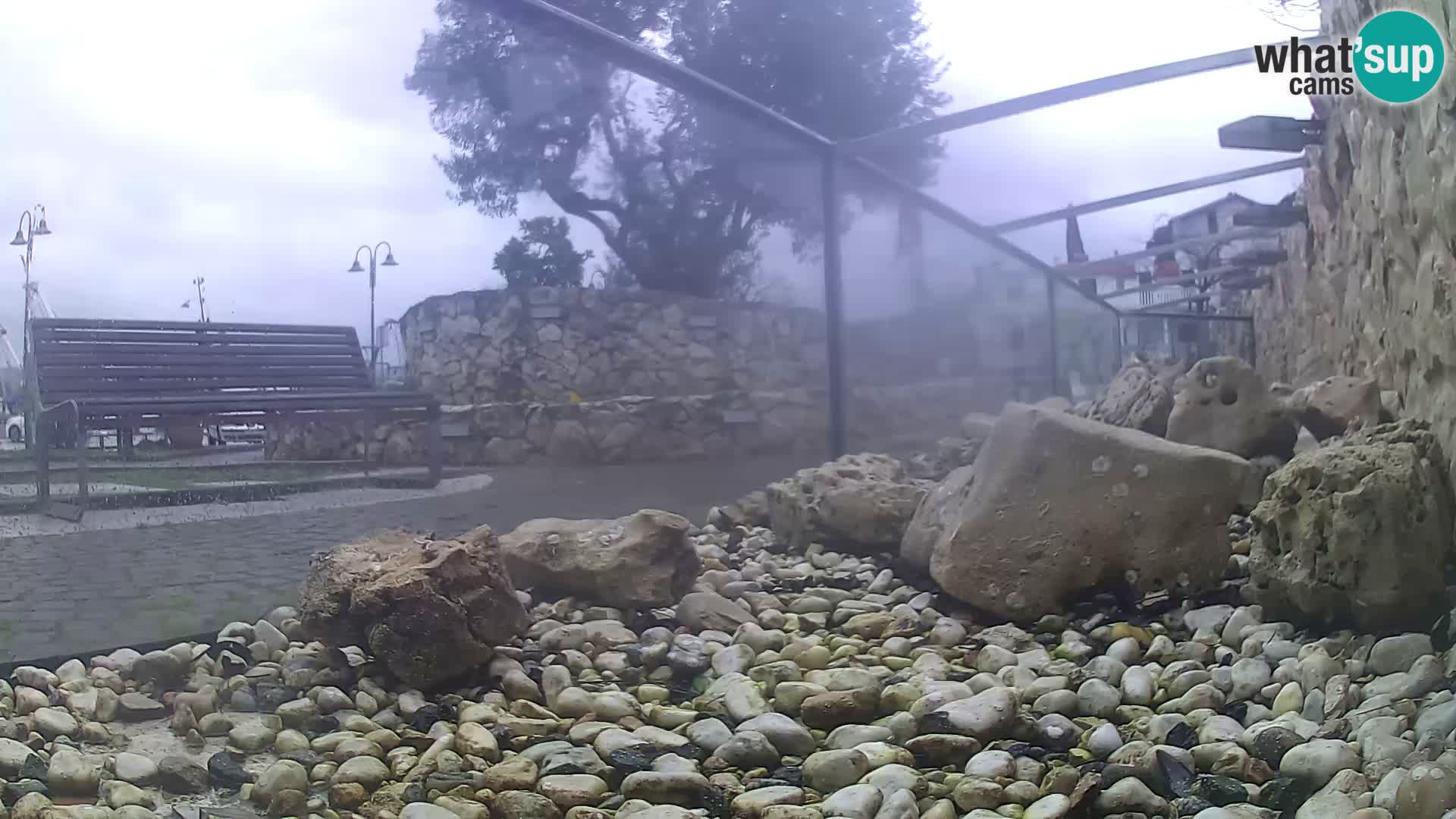 Aquario marino esterno –  Rogoznica livecam Croazia