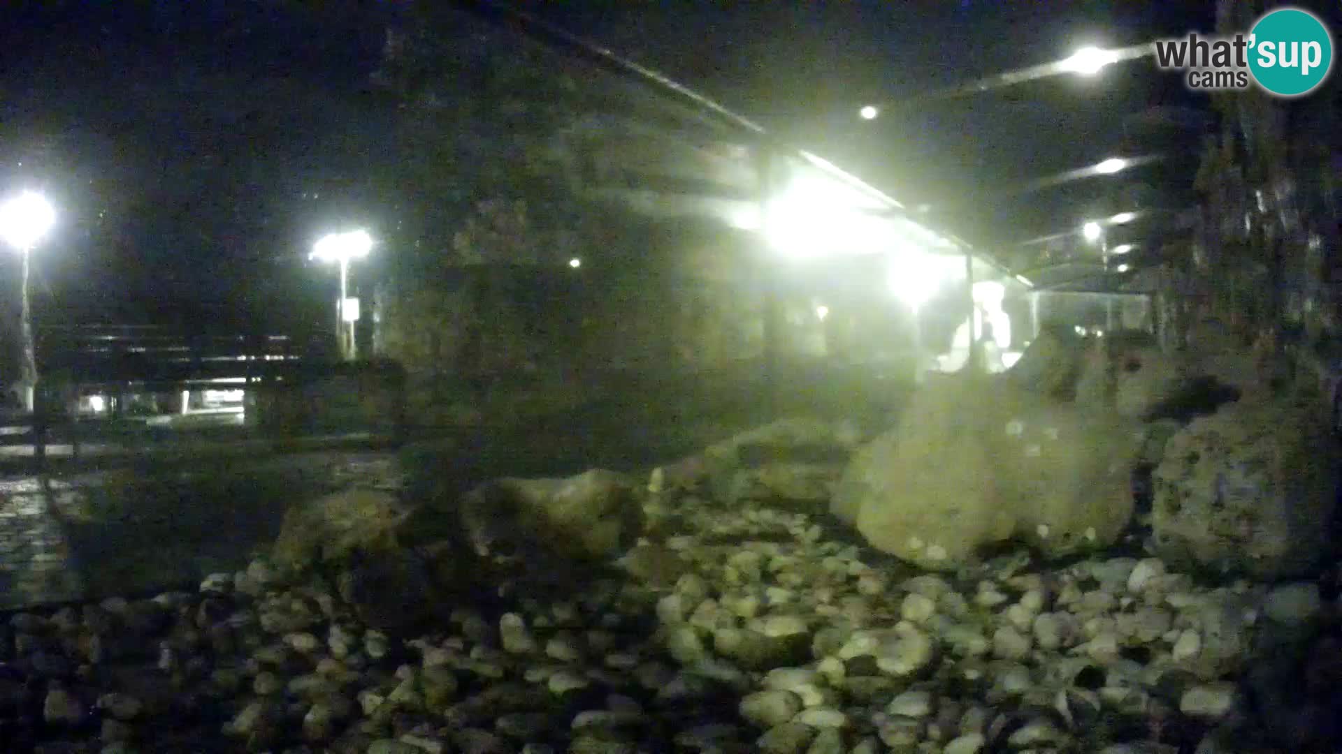 Outdoor Marine Aquarium Rogoznica webcam Croatia