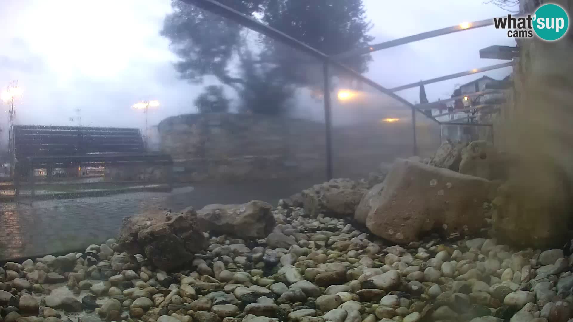 Outdoor Marine Aquarium Rogoznica webcam Croatia