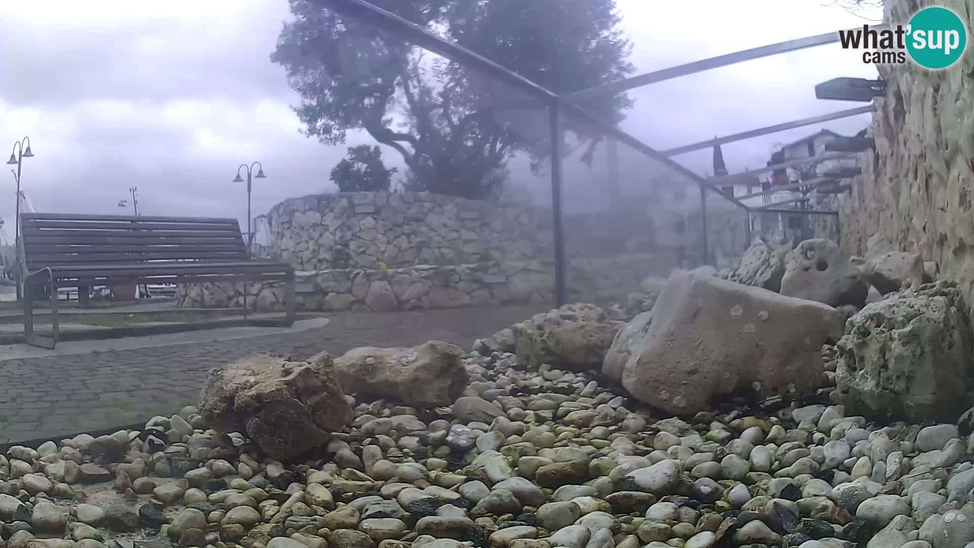 Marine Aquarium im Freien Rogoznica webcam Kroatien