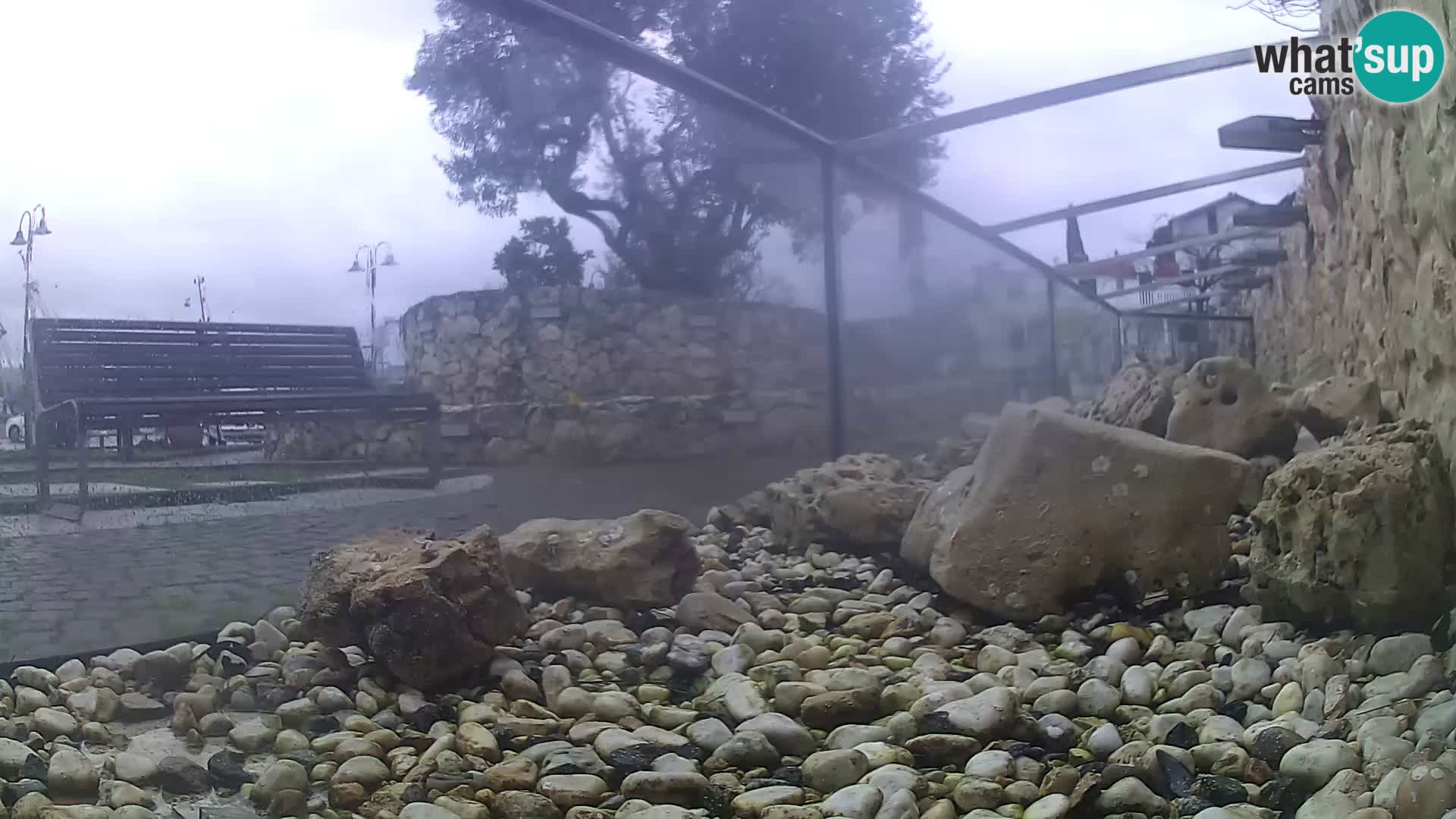 Marine Aquarium im Freien Rogoznica webcam Kroatien
