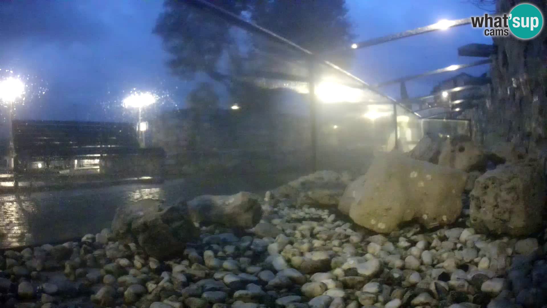 Aquario marino esterno –  Rogoznica livecam Croazia