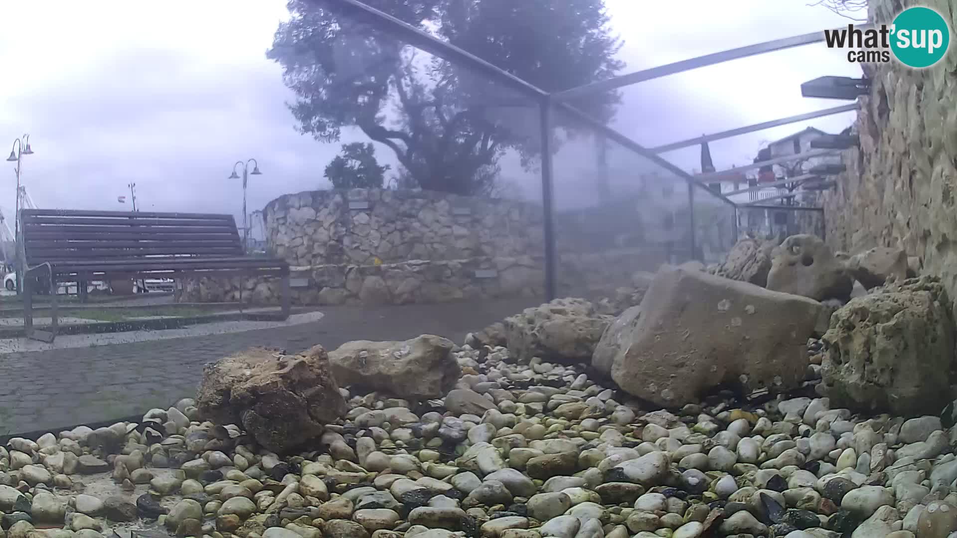 Outdoor Marine Aquarium Rogoznica webcam Croatia