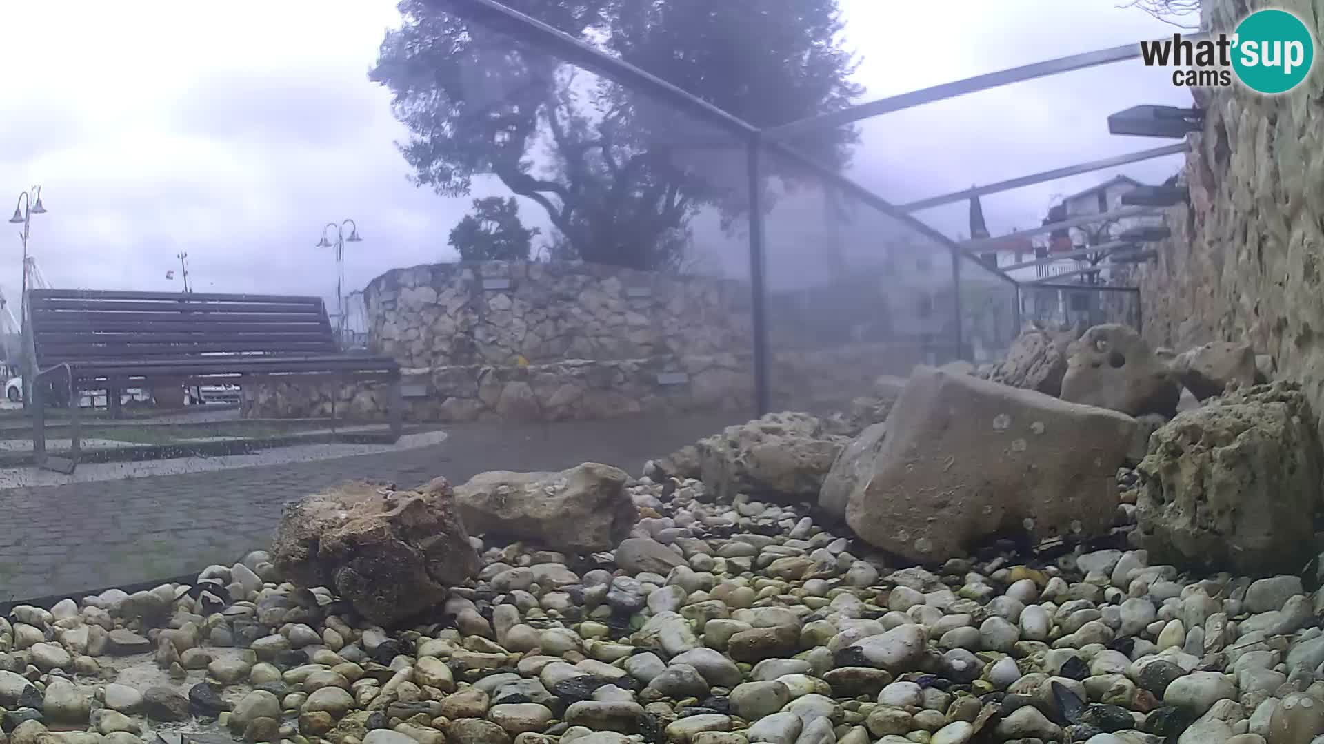Webcam de l’aquarium marin extérieur de Rogoznica Croatie