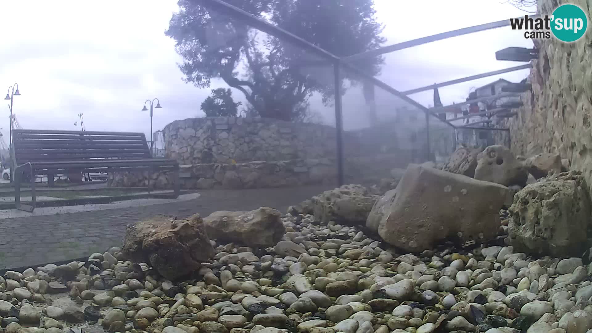 Acuario marino al aire libre Rogoznica webcam Croacia