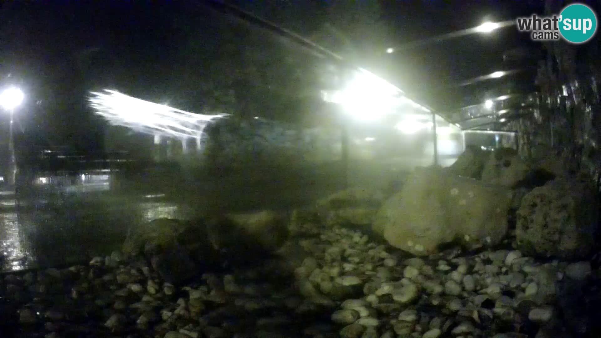 Marine Aquarium im Freien Rogoznica webcam Kroatien