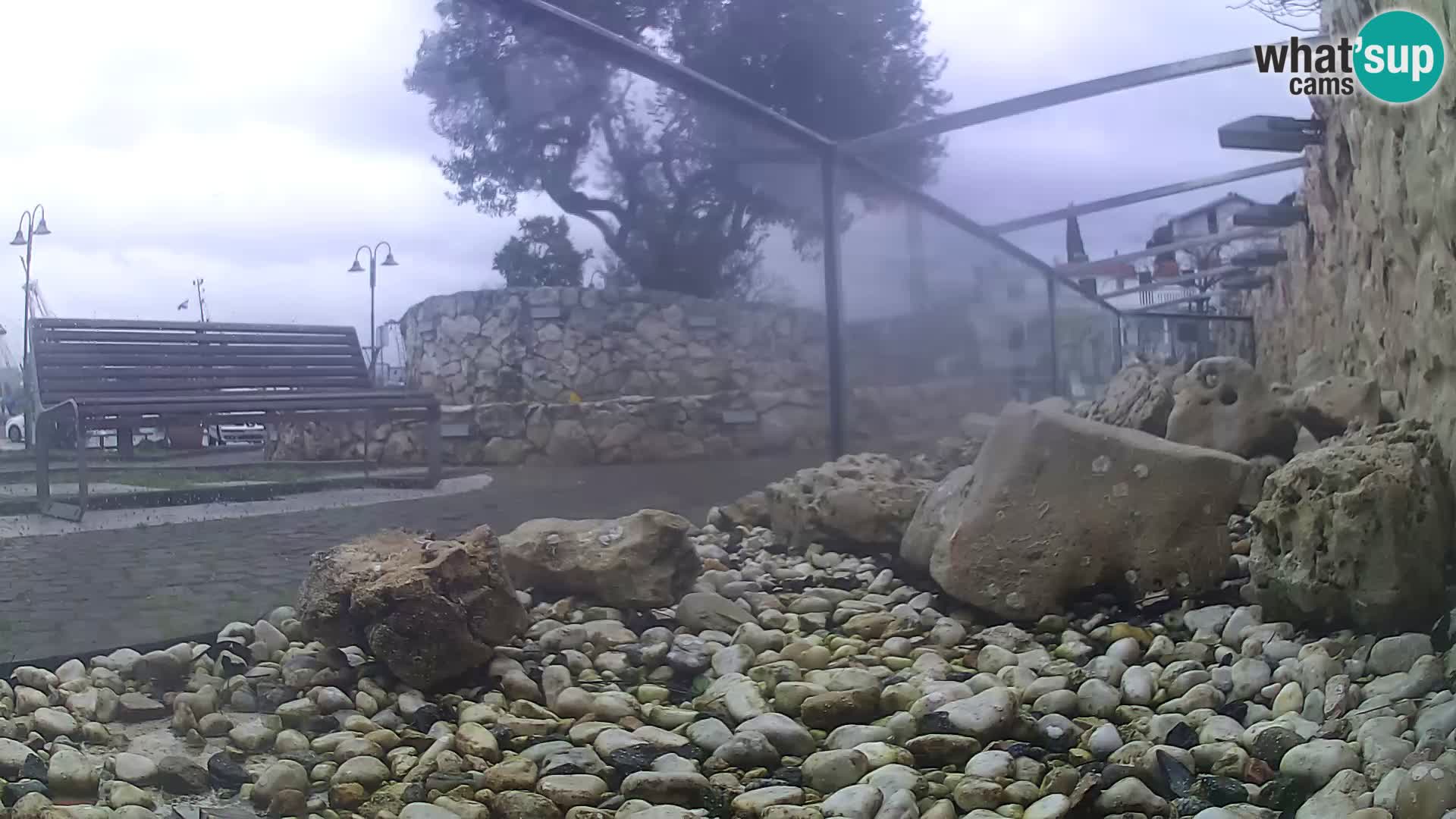 Acuario marino al aire libre Rogoznica webcam Croacia