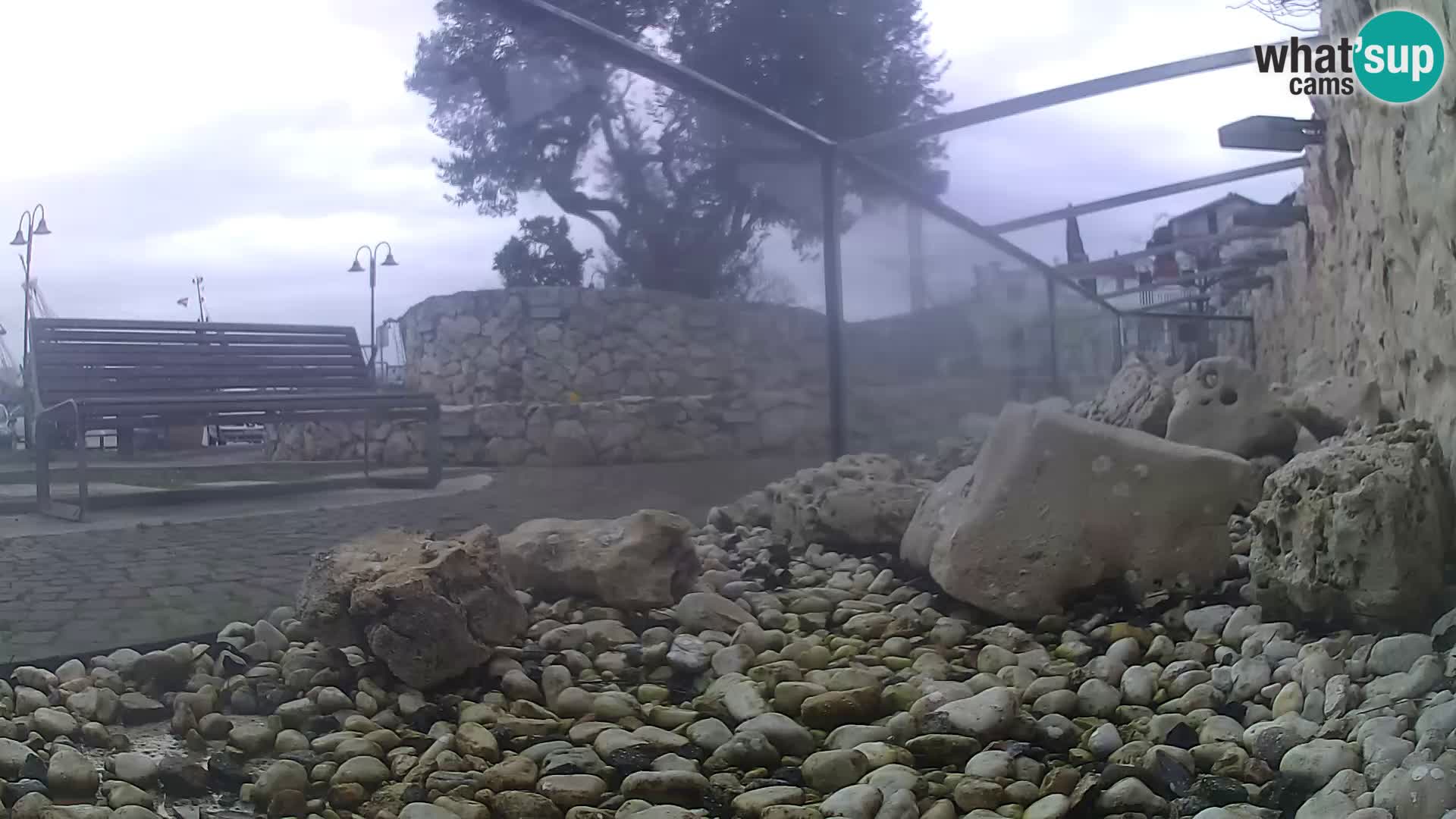 Outdoor Marine Aquarium Rogoznica webcam Croatia