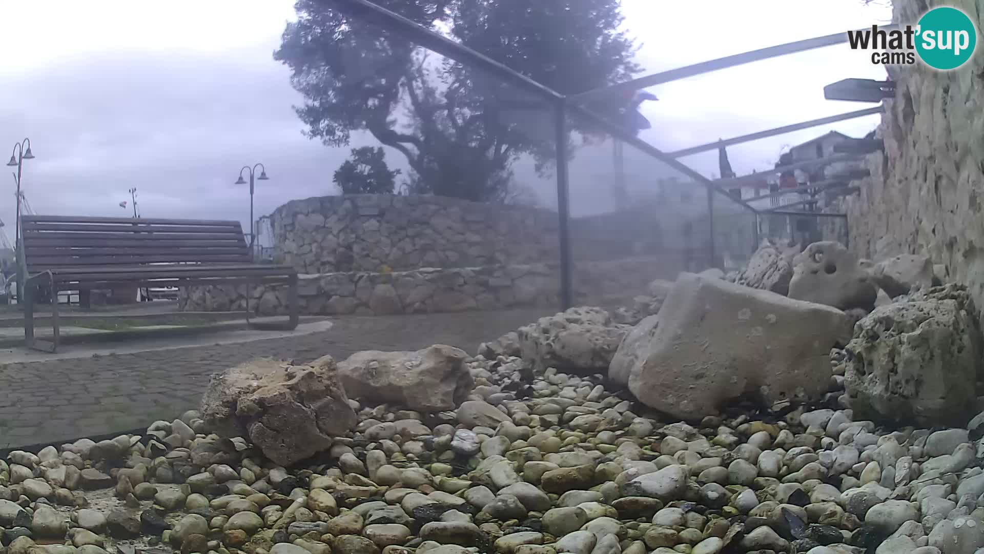 Acuario marino al aire libre Rogoznica webcam Croacia