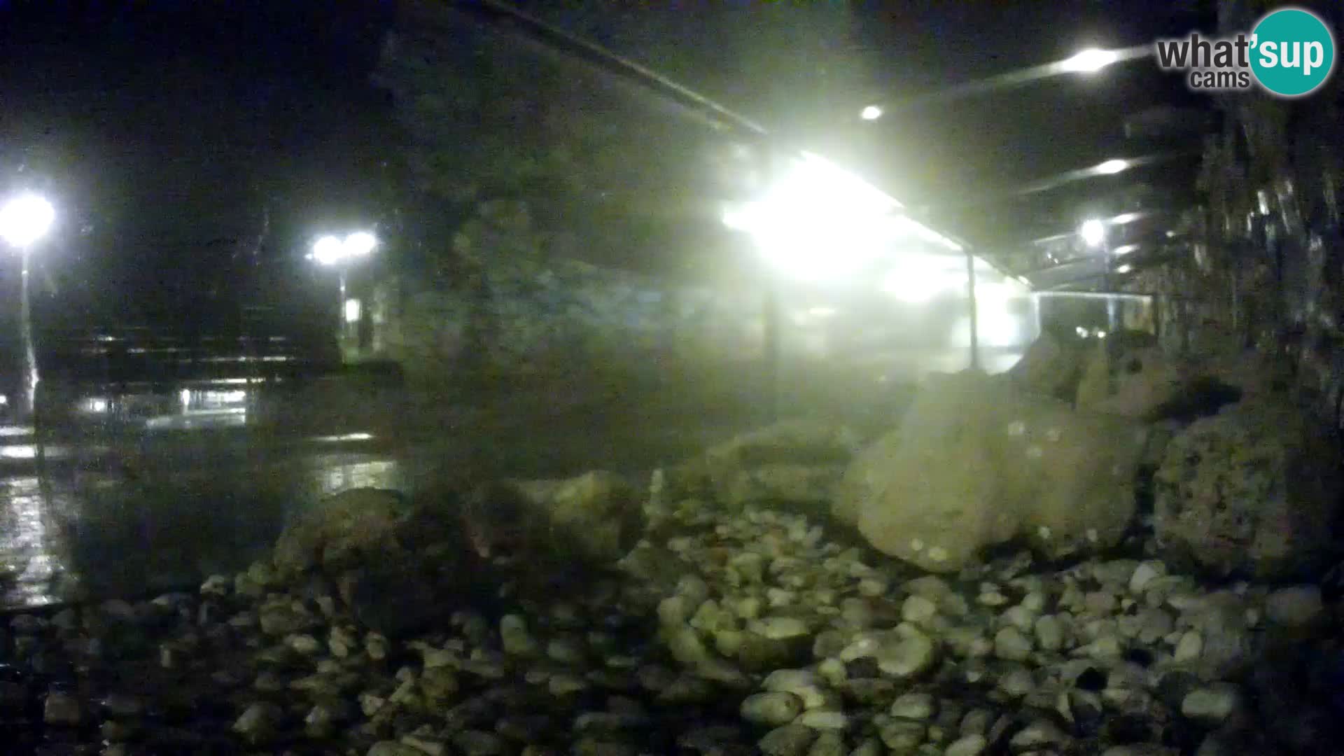 Webcam de l’aquarium marin extérieur de Rogoznica Croatie