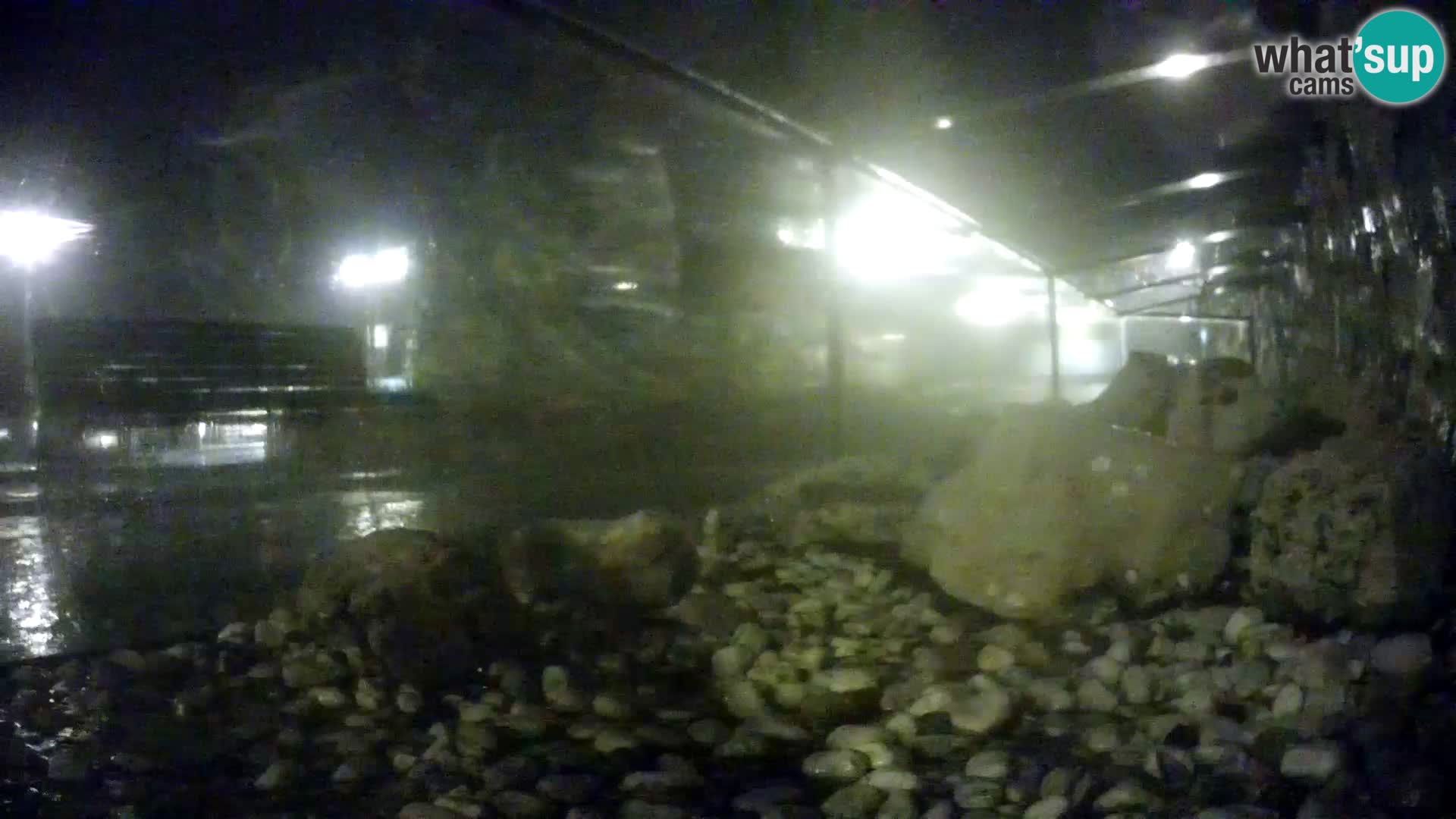 Webcam de l’aquarium marin extérieur de Rogoznica Croatie