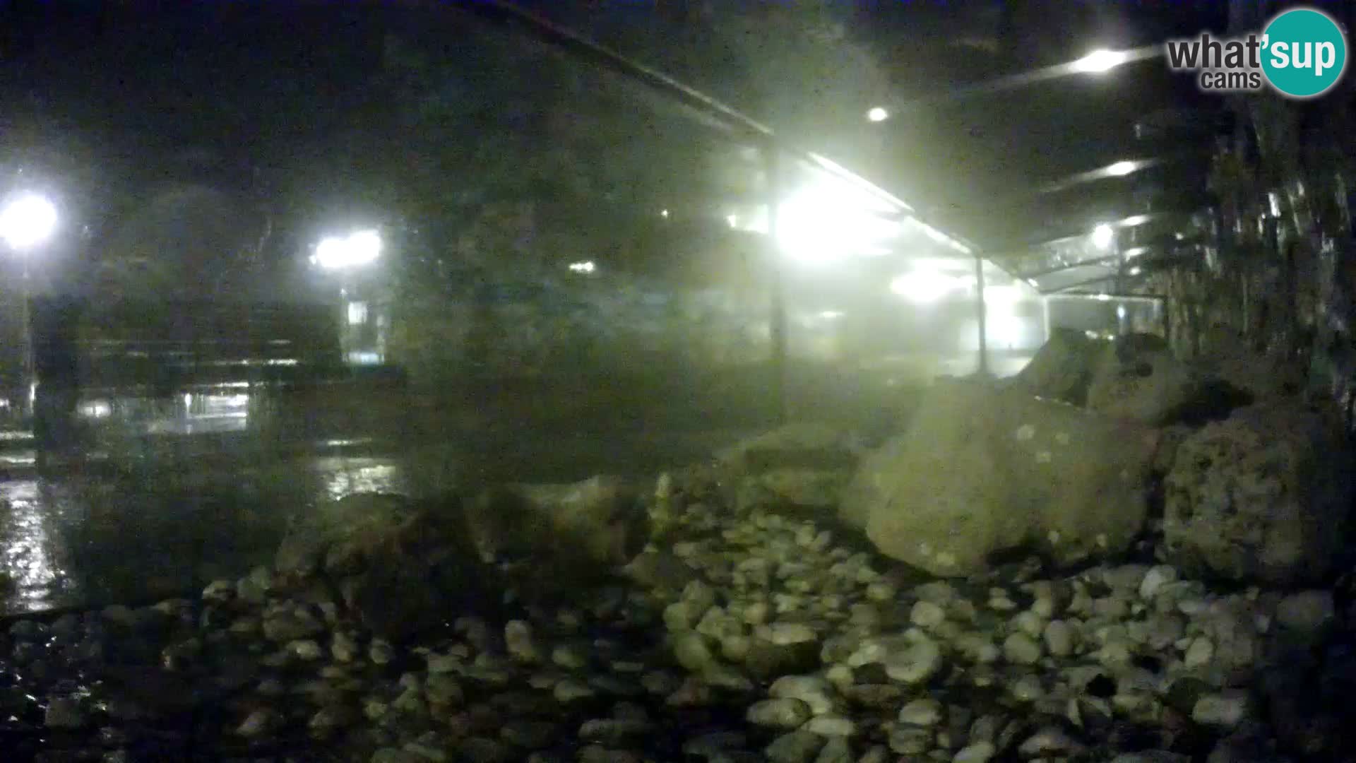 Outdoor Marine Aquarium Rogoznica webcam Croatia