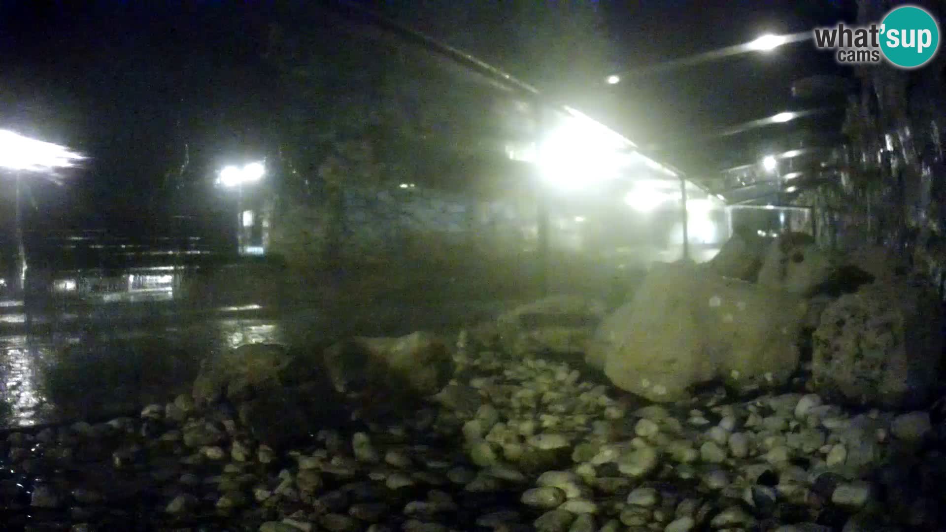 Marine Aquarium im Freien Rogoznica webcam Kroatien