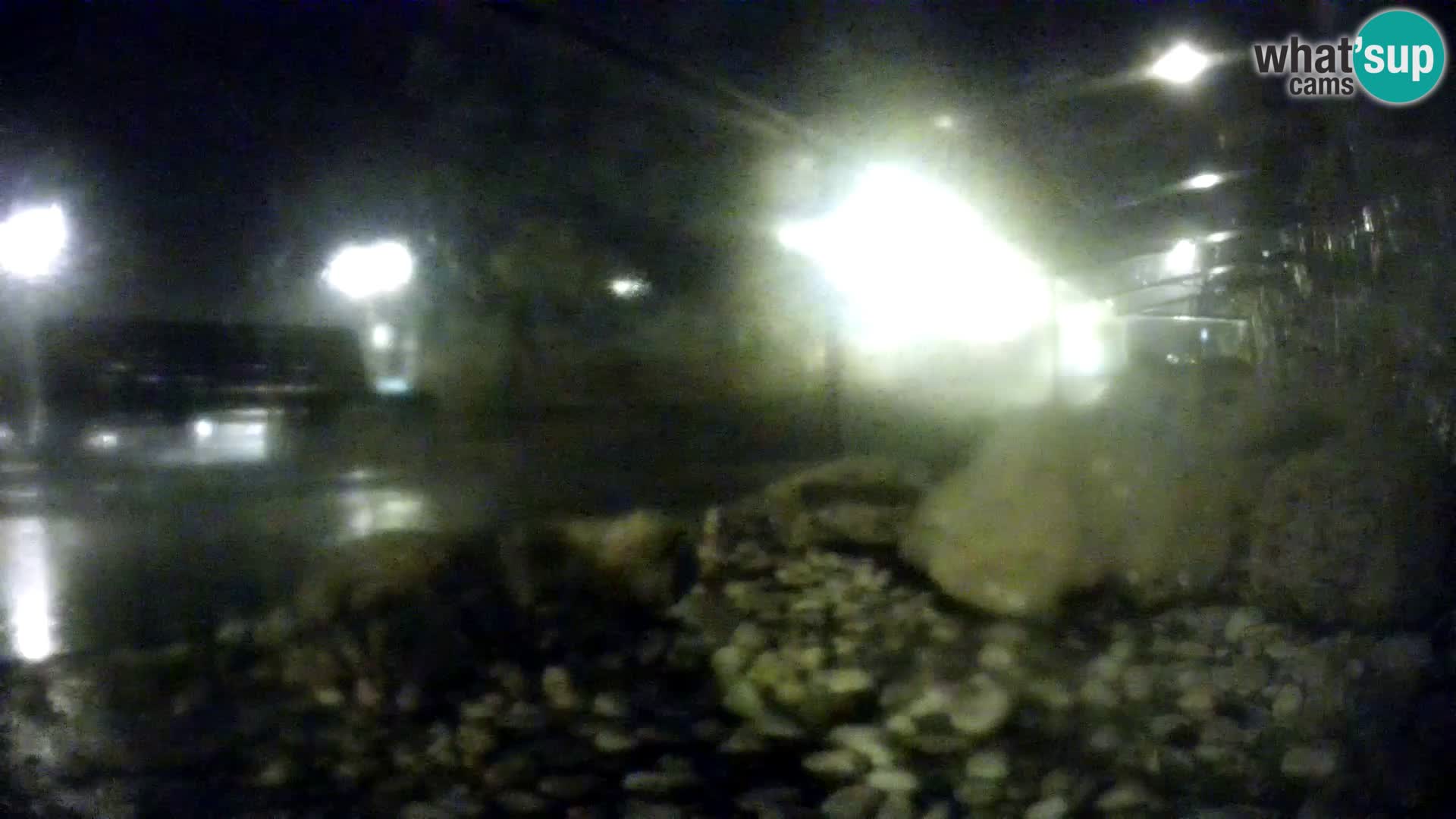 Zunanji morski akvarij Rogoznica spletna kamera Hrvaška