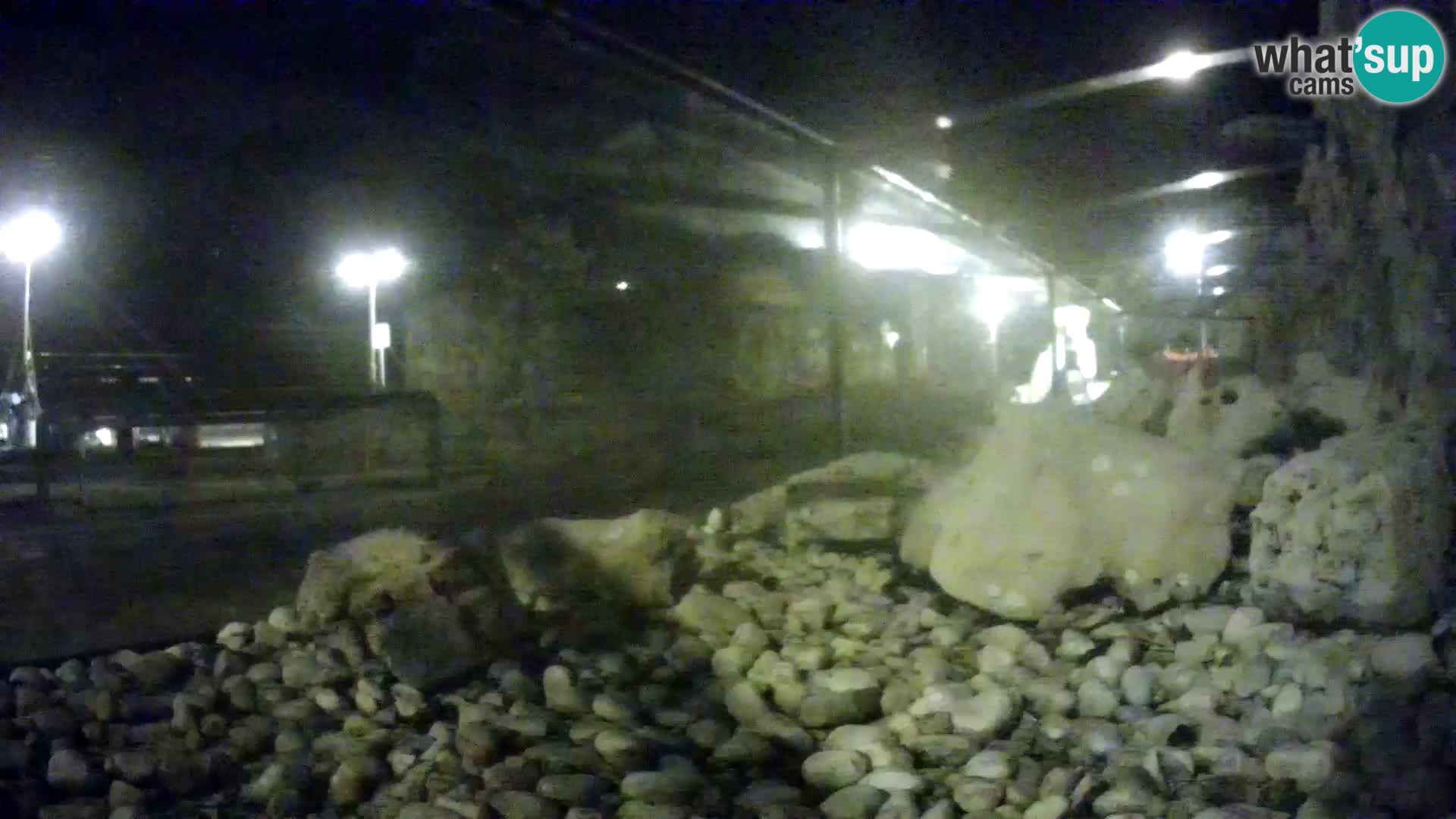 Outdoor Marine Aquarium Rogoznica webcam Croatia