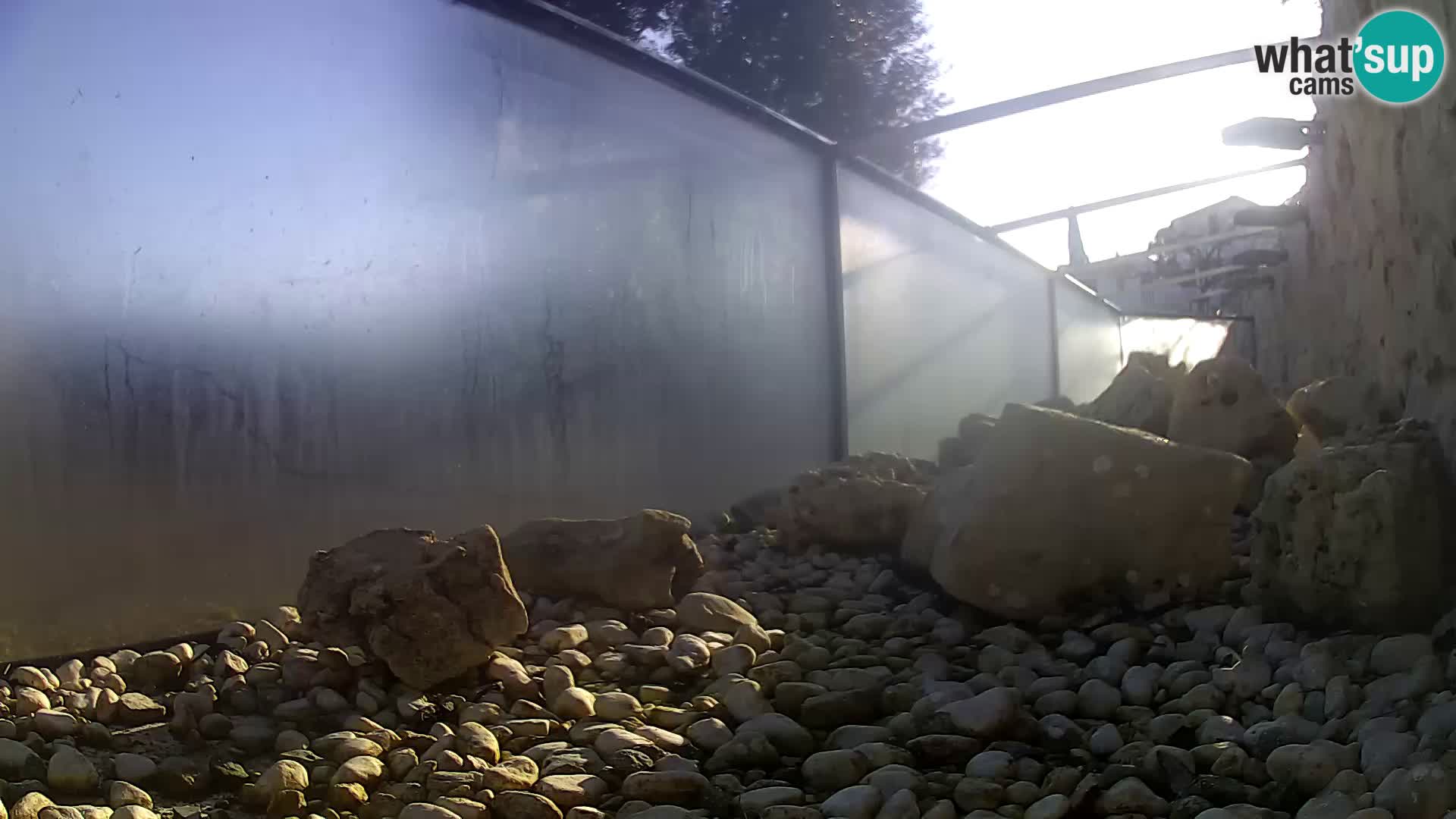 Zunanji morski akvarij Rogoznica spletna kamera Hrvaška