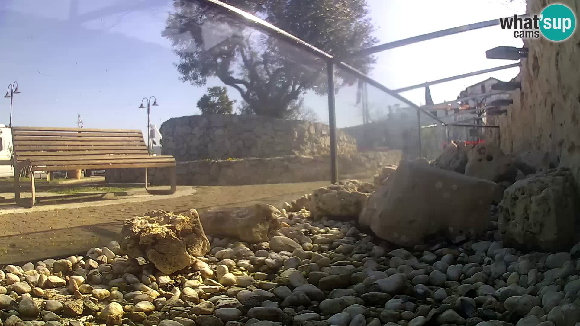 Outdoor Marine Aquarium Rogoznica webcam Croatia