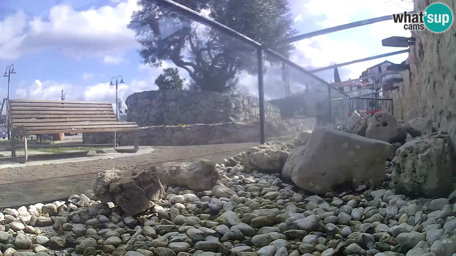 Zunanji morski akvarij Rogoznica spletna kamera Hrvaška