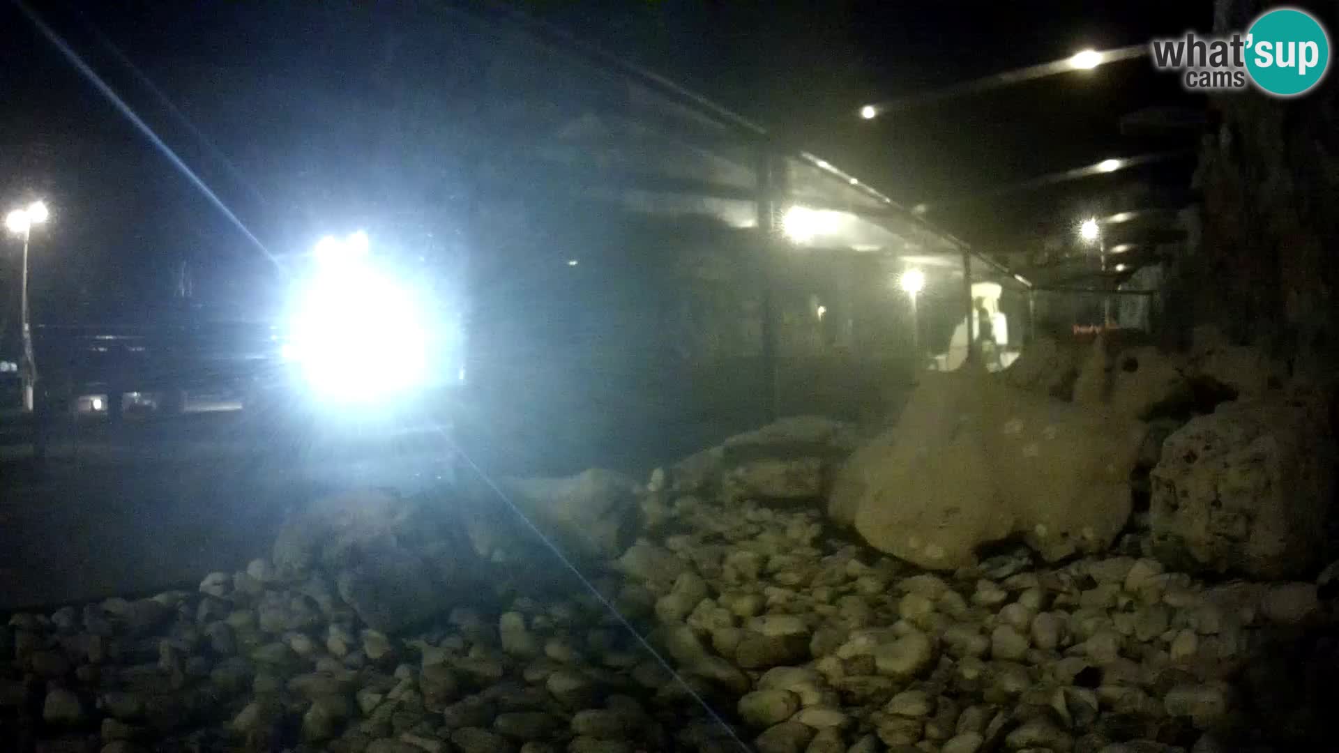 Zunanji morski akvarij Rogoznica spletna kamera Hrvaška