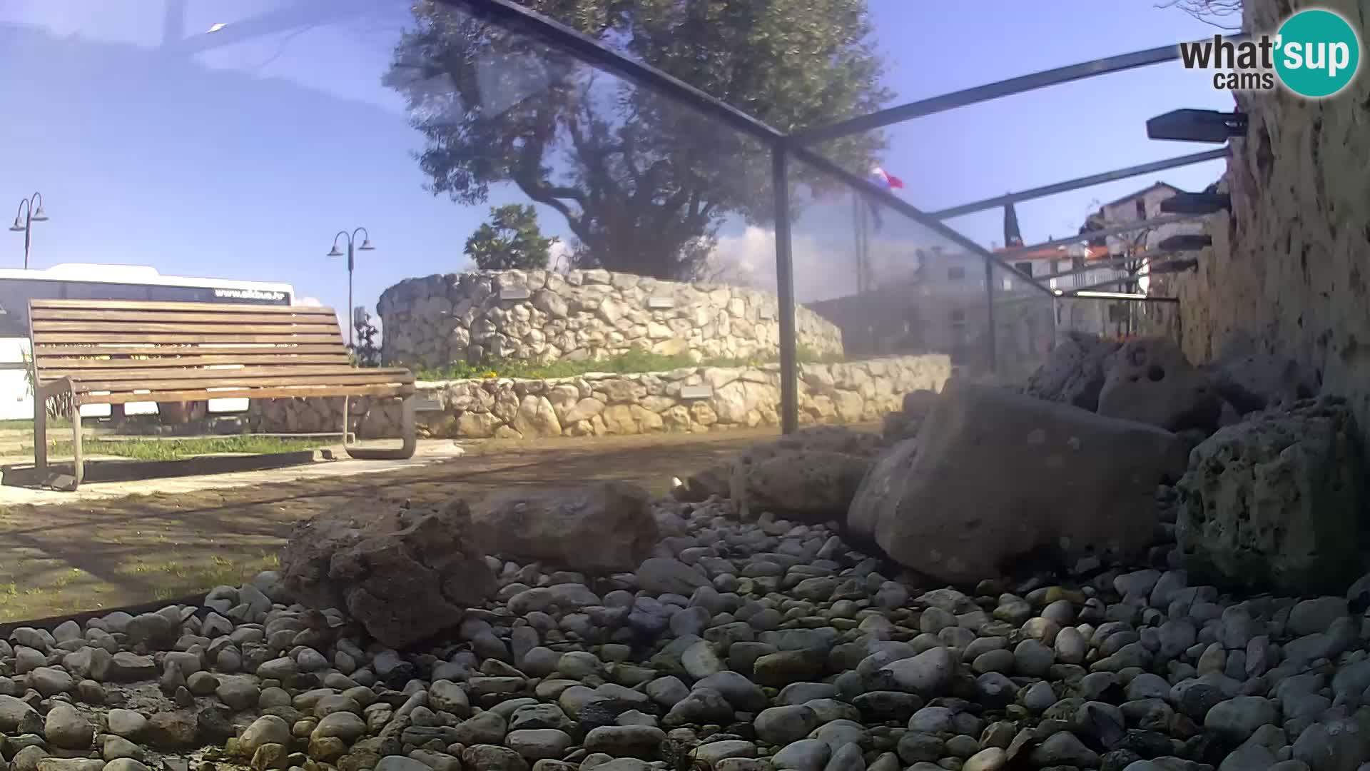 Vanjski morski akvarij Rogoznica web kamera Hrvatska