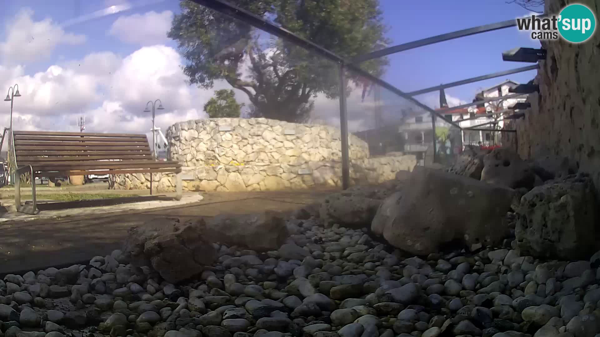 Zunanji morski akvarij Rogoznica spletna kamera Hrvaška