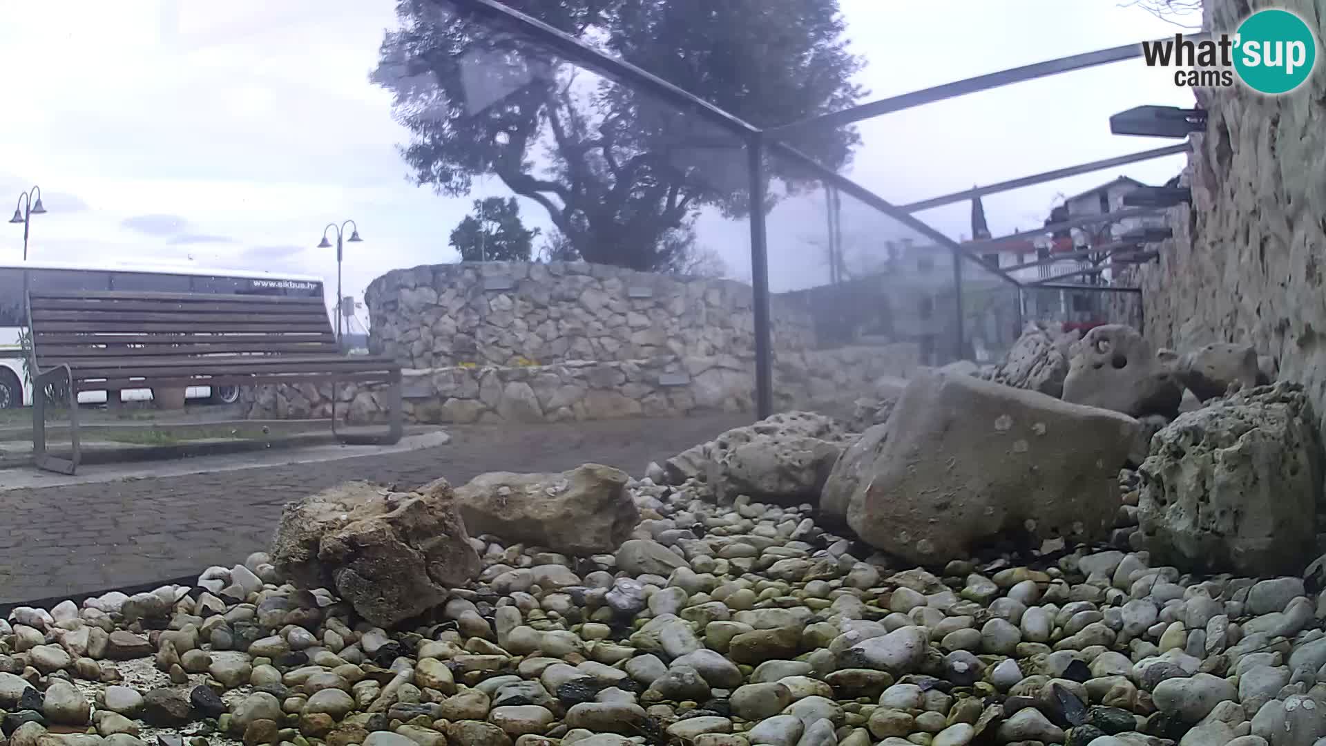 Zunanji morski akvarij Rogoznica spletna kamera Hrvaška