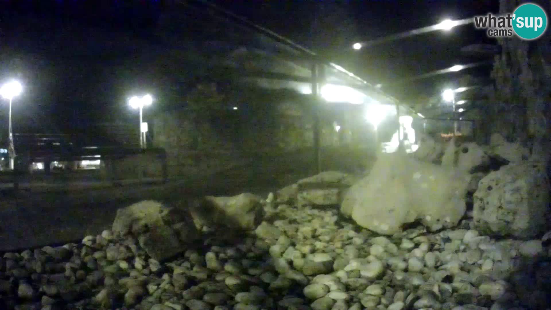 Vanjski morski akvarij Rogoznica web kamera Hrvatska