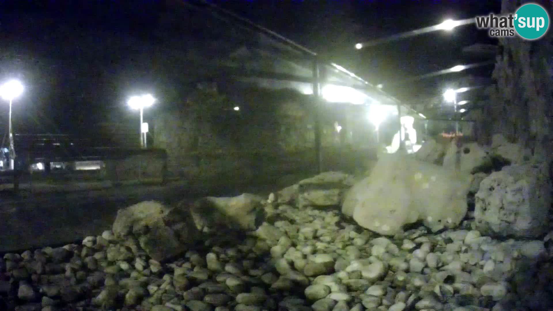 Acuario marino al aire libre Rogoznica webcam Croacia