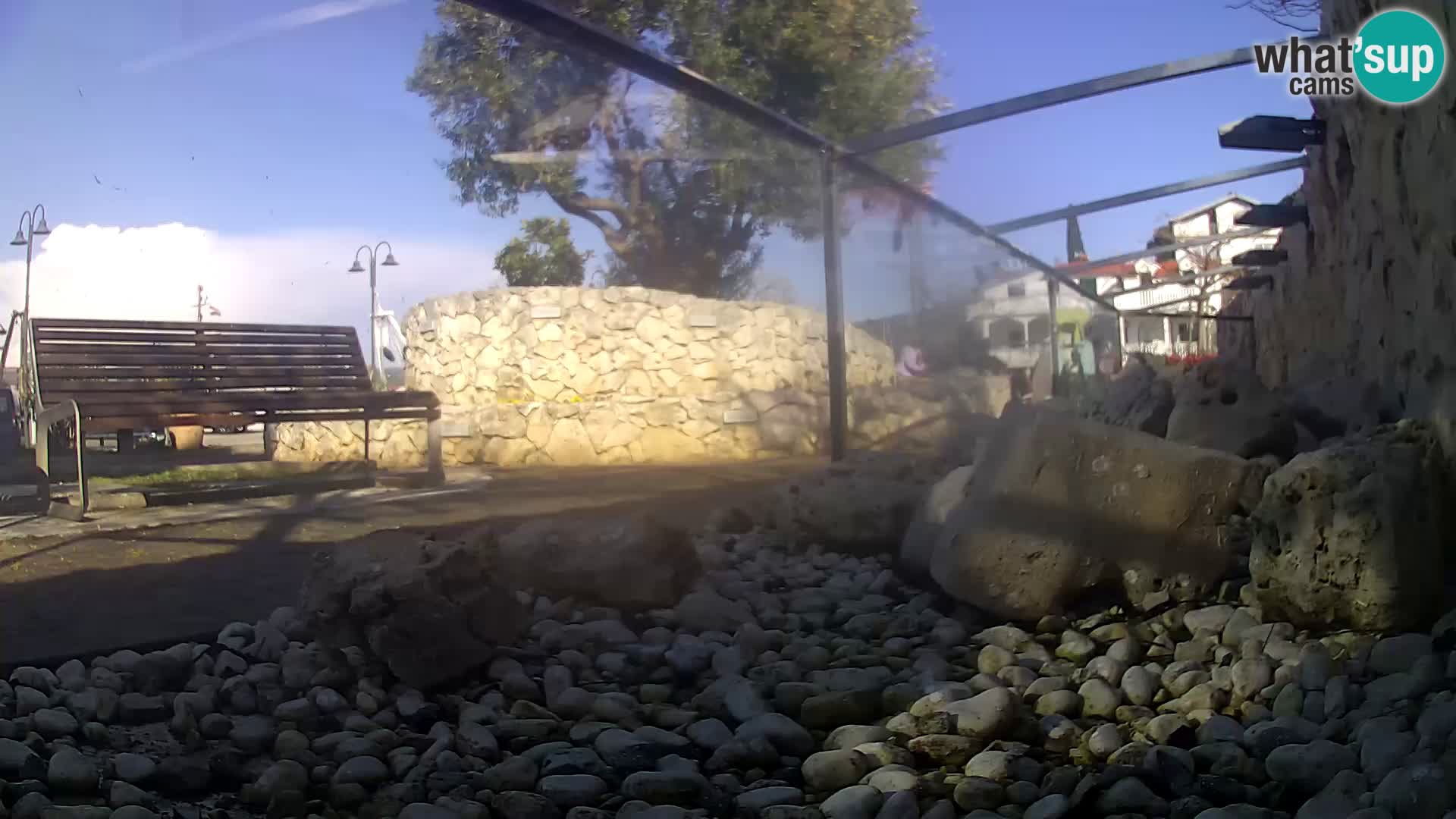 Zunanji morski akvarij Rogoznica spletna kamera Hrvaška