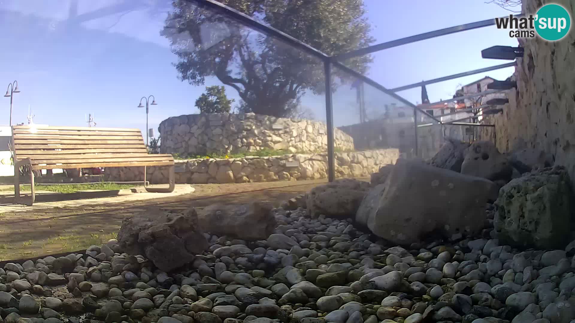 Marine Aquarium im Freien Rogoznica webcam Kroatien