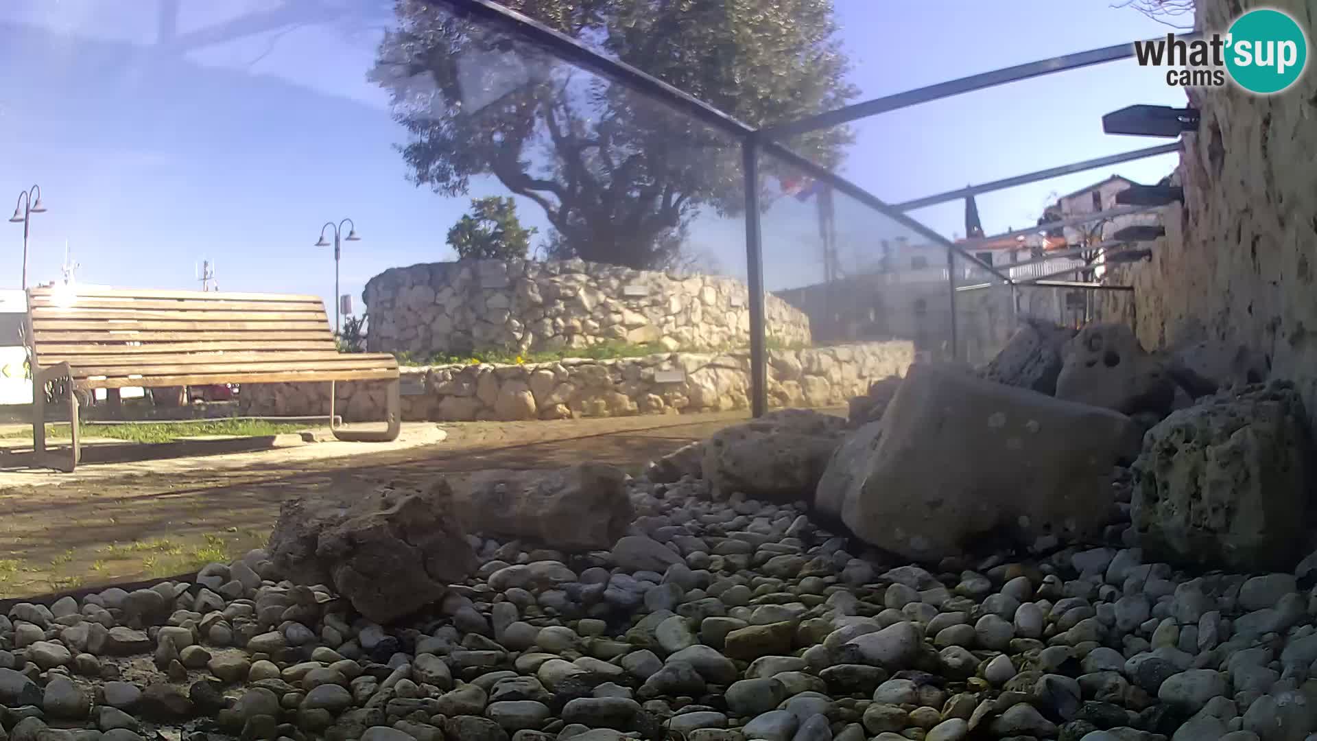 Marine Aquarium im Freien Rogoznica webcam Kroatien