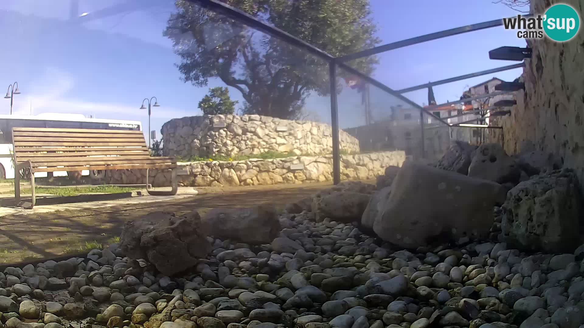 Zunanji morski akvarij Rogoznica spletna kamera Hrvaška